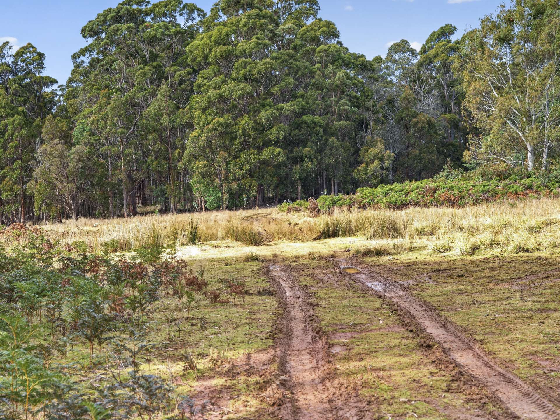 Lot 1 Pitts Road, Moogara For Sale by Farmbuy.com - image 17