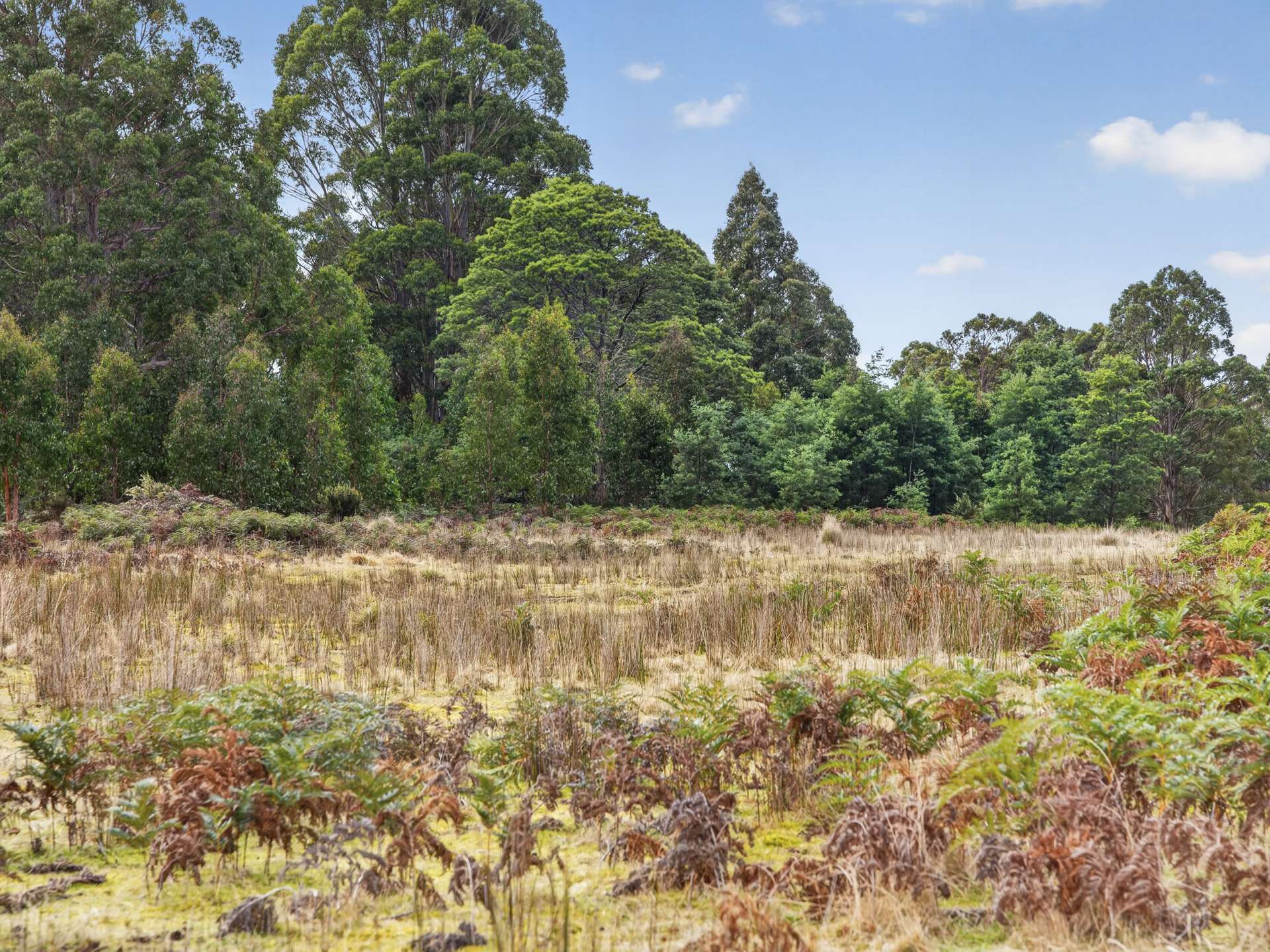 Lot 1 Pitts Road, Moogara For Sale by Farmbuy.com - image 23