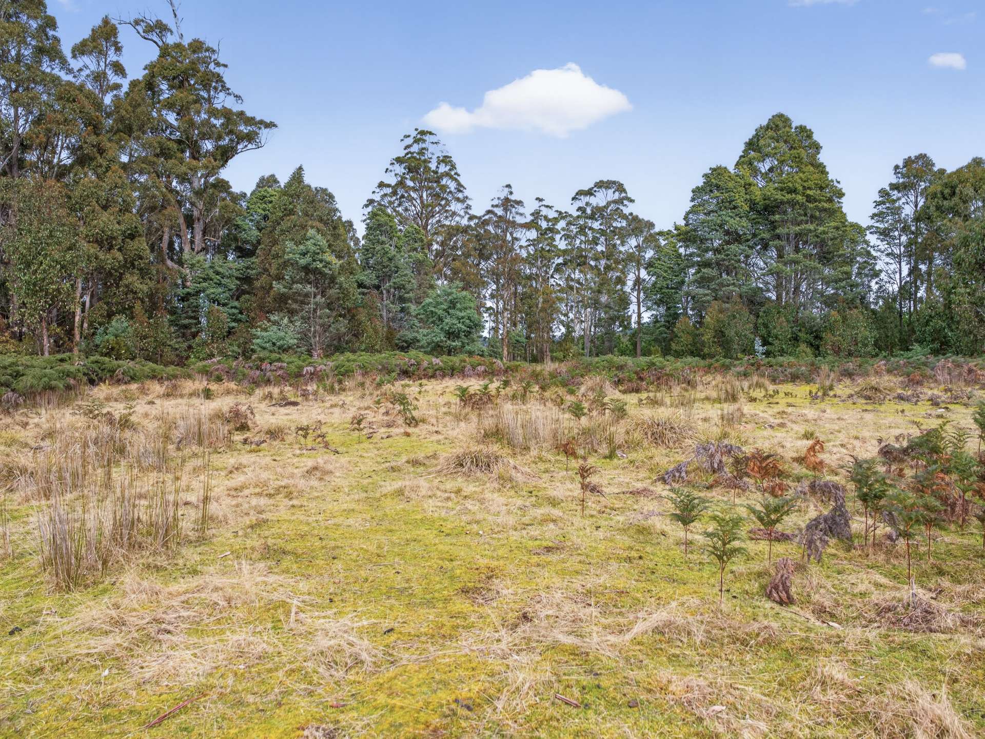 Lot 1 Pitts Road, Moogara For Sale by Farmbuy.com - image 22