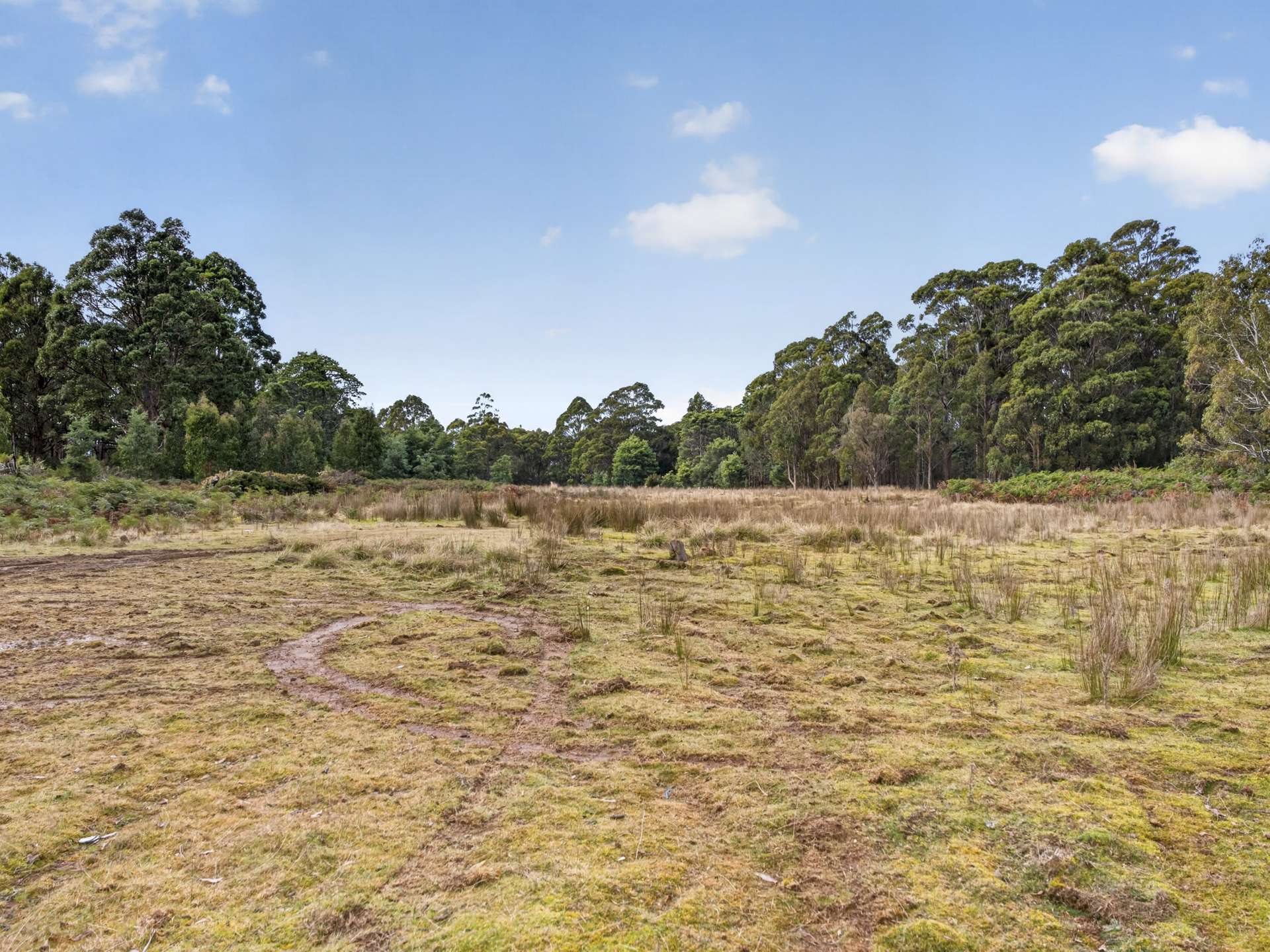 Lot 1 Pitts Road, Moogara For Sale by Farmbuy.com - image 19