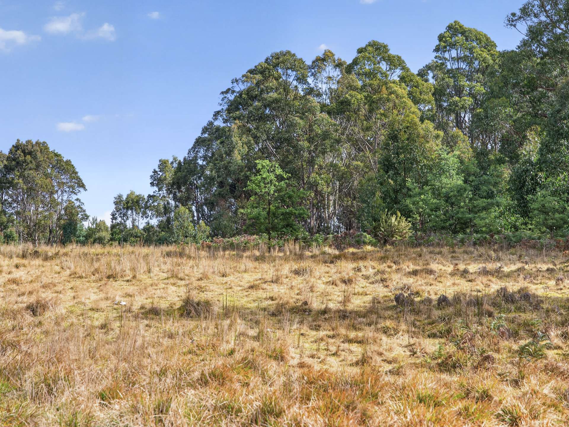 Lot 1 Pitts Road, Moogara For Sale by Farmbuy.com - image 28