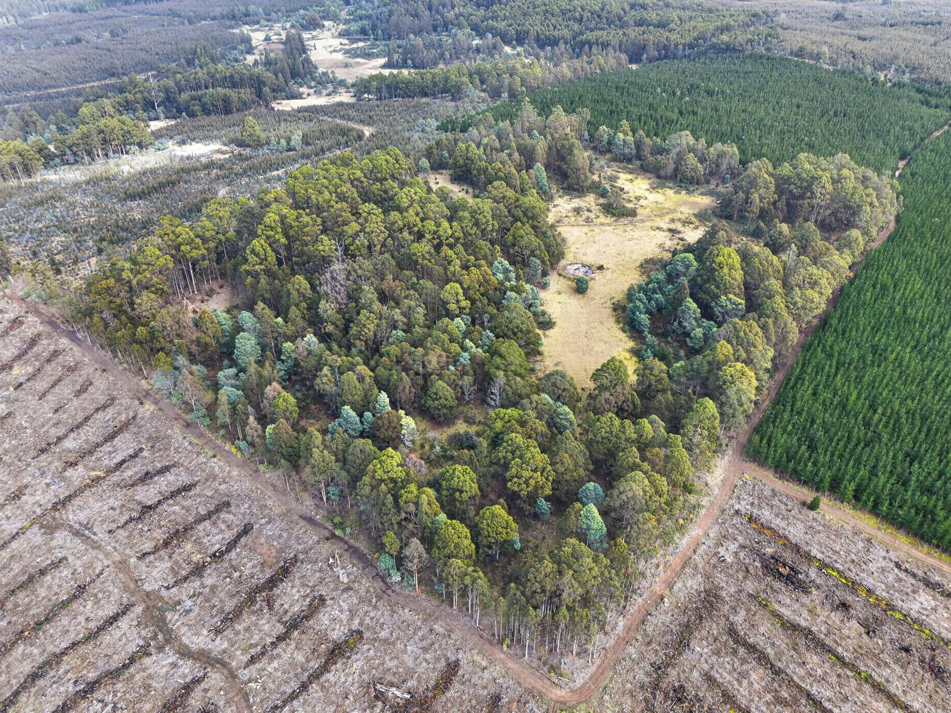 Lot 1 Pitts Road, Moogara For Sale by Farmbuy.com - image 5