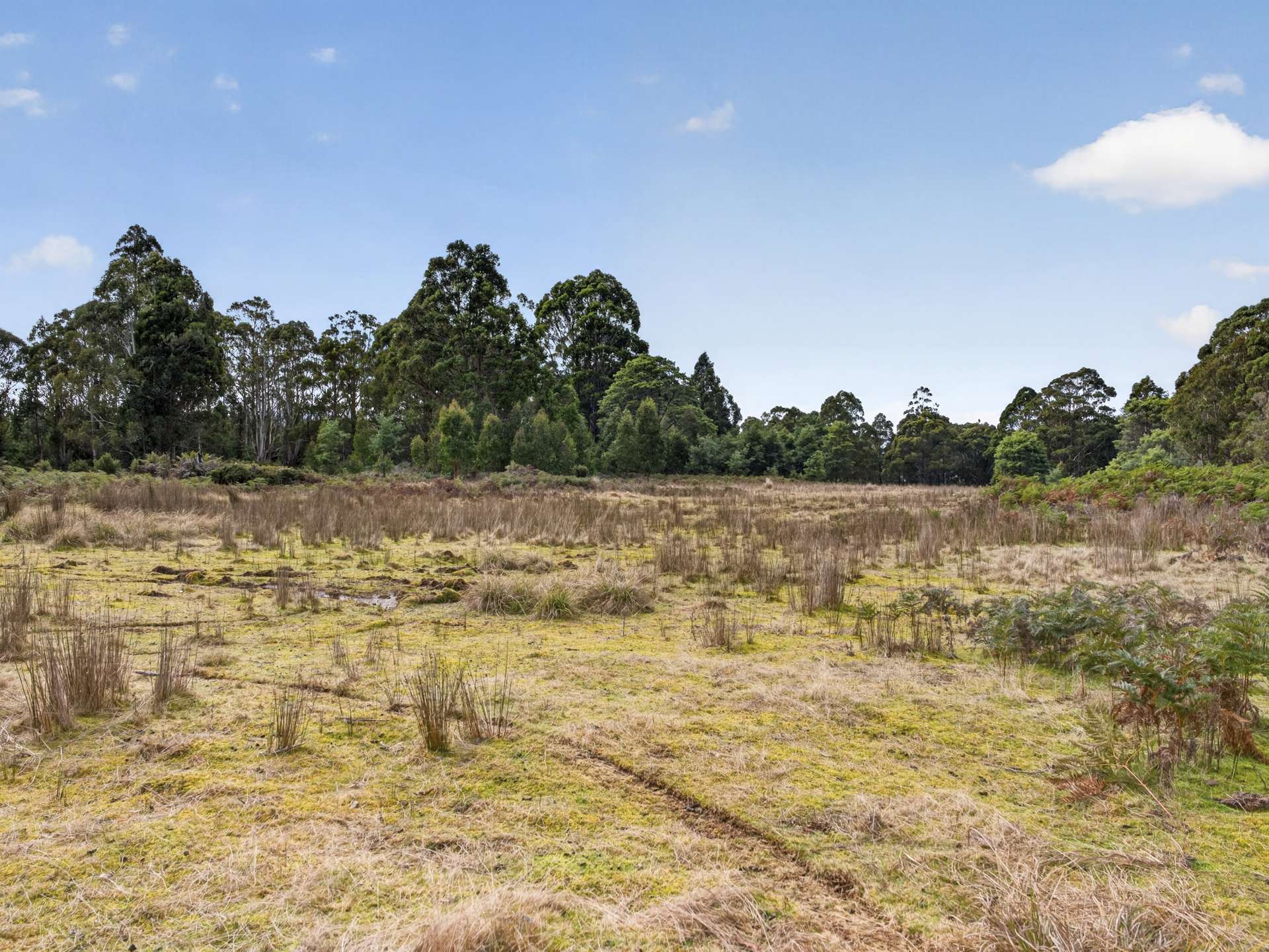 Lot 1 Pitts Road, Moogara For Sale by Farmbuy.com - image 21