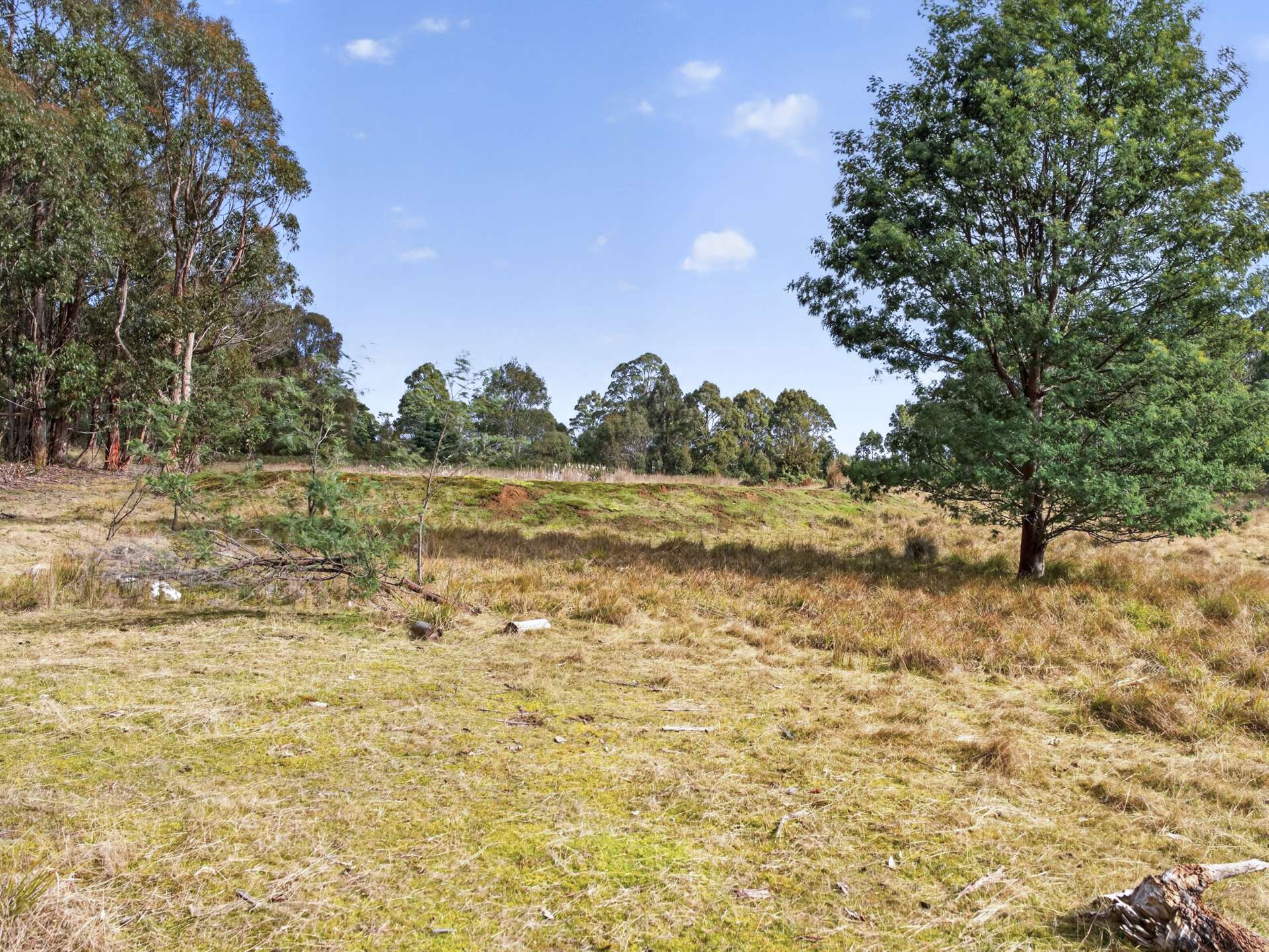 Lot 1 Pitts Road, Moogara For Sale by Farmbuy.com - image 27