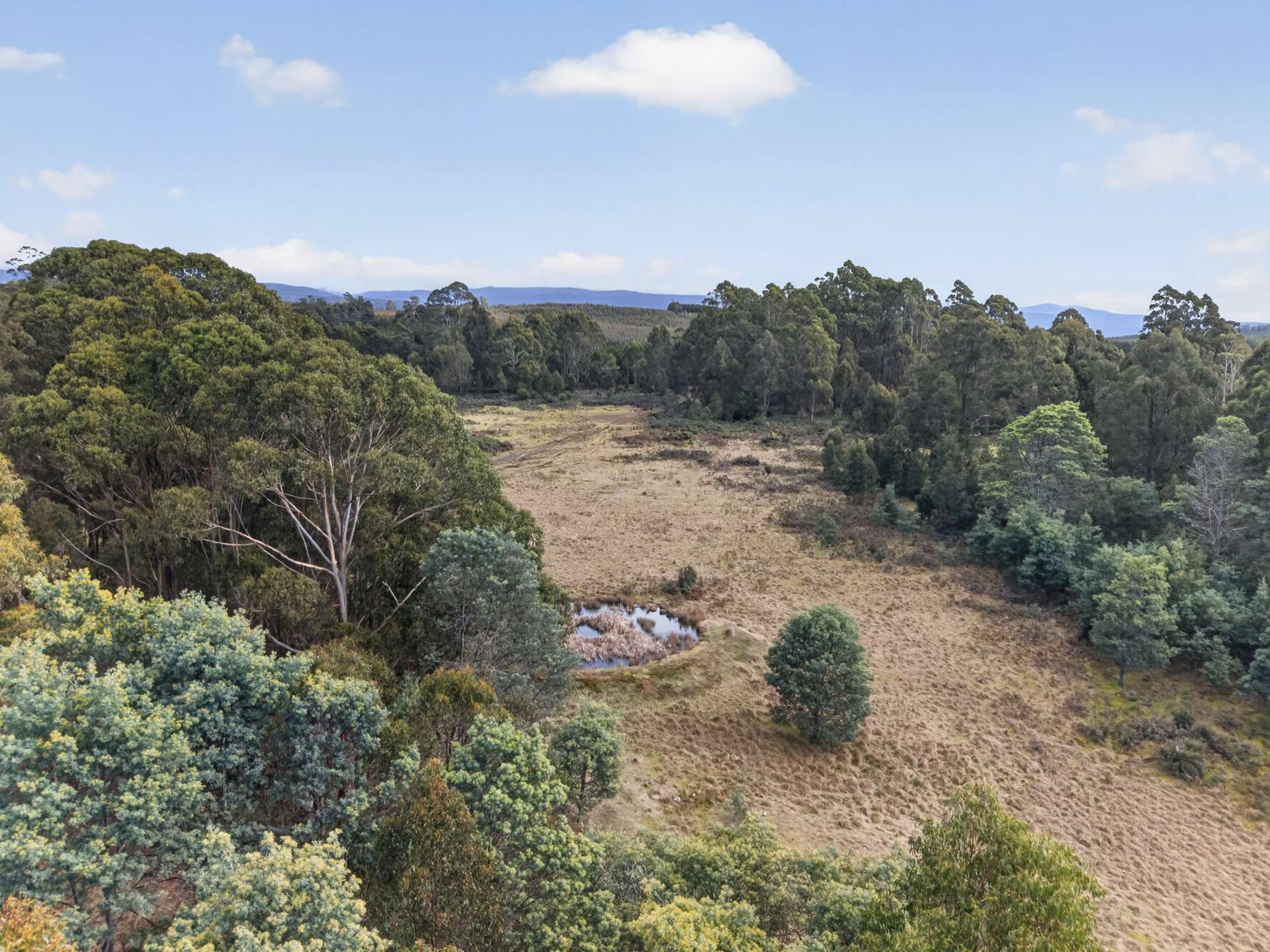 Lot 1 Pitts Road, Moogara For Sale by Farmbuy.com - image 13