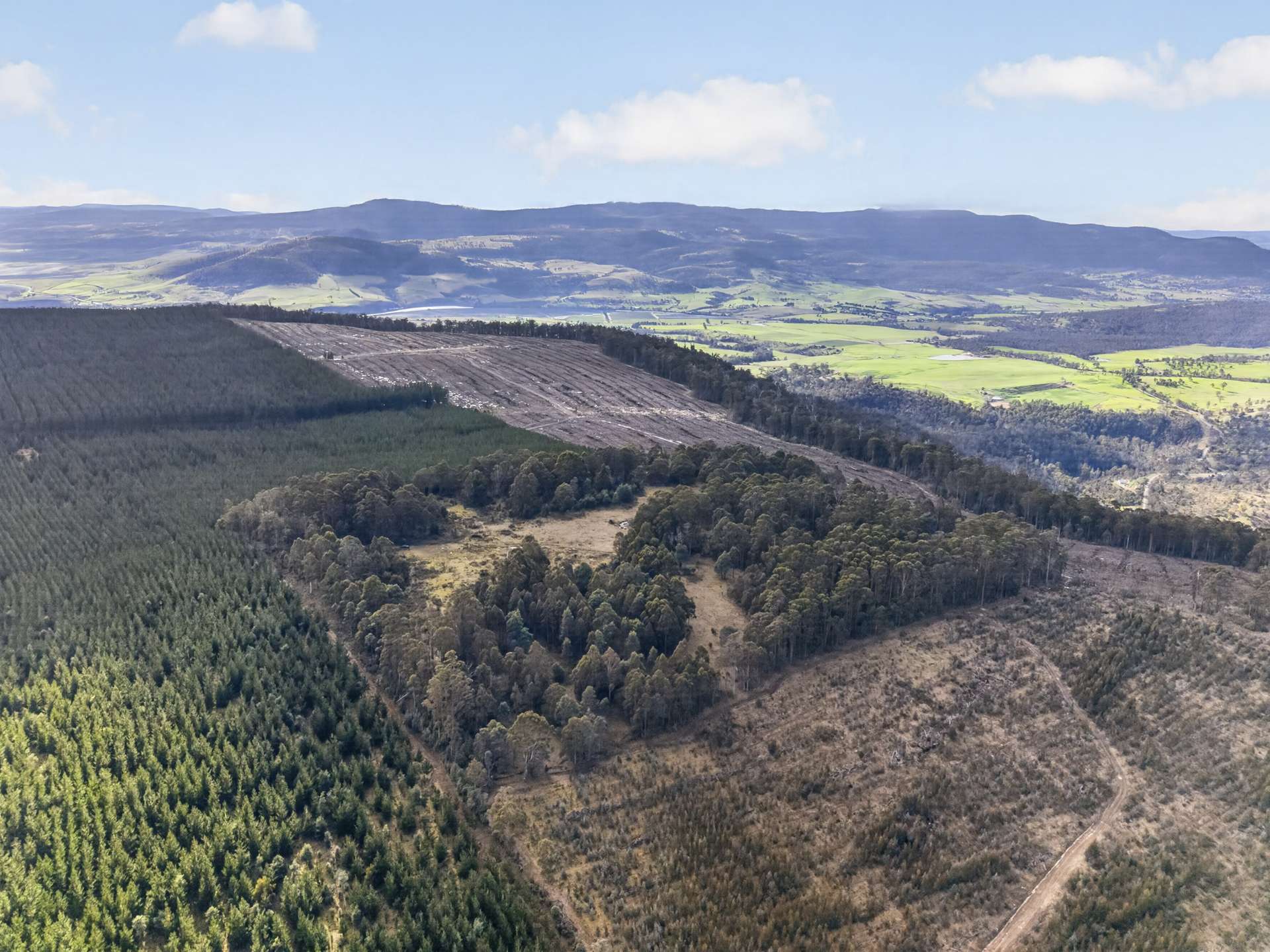 Lot 1 Pitts Road, Moogara For Sale by Farmbuy.com - image 3