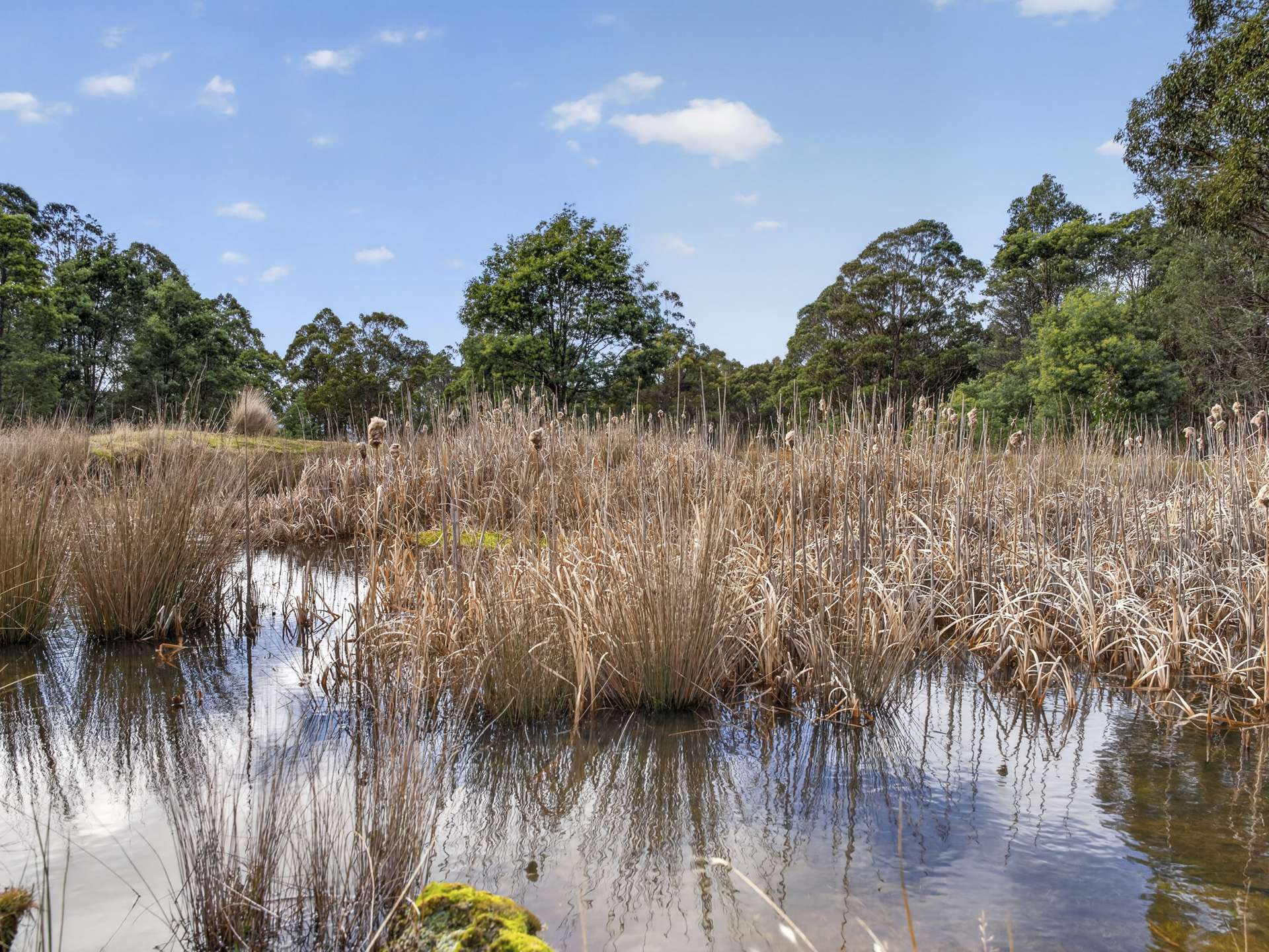 Lot 1 Pitts Road, Moogara For Sale by Farmbuy.com - image 25