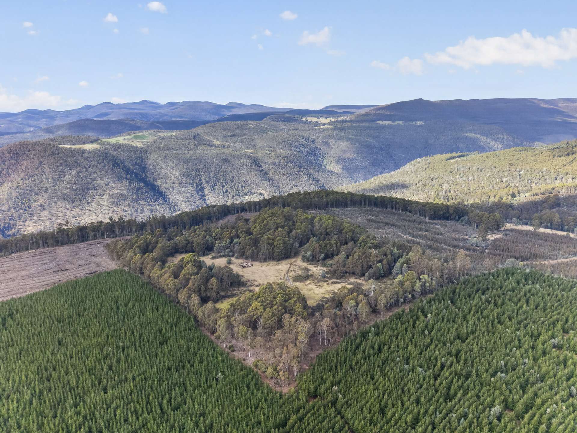 Lot 1 Pitts Road, Moogara For Sale by Farmbuy.com - image 2