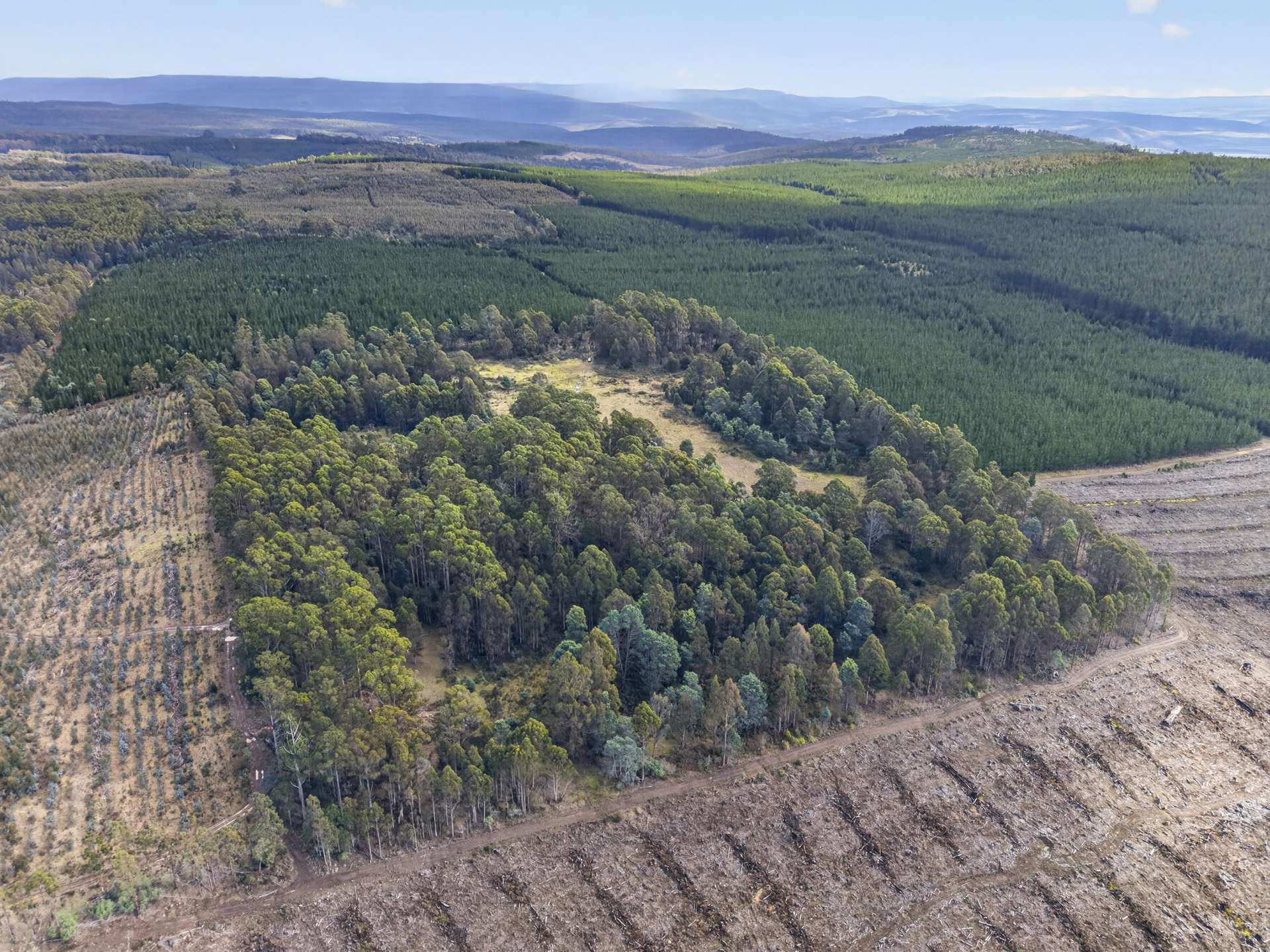 Lot 1 Pitts Road, Moogara For Sale by Farmbuy.com - image 4