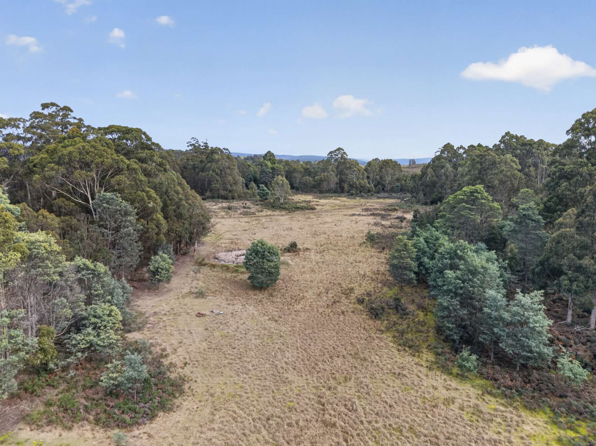 Lot 1 Pitts Road, Moogara For Sale by Farmbuy.com - image 12