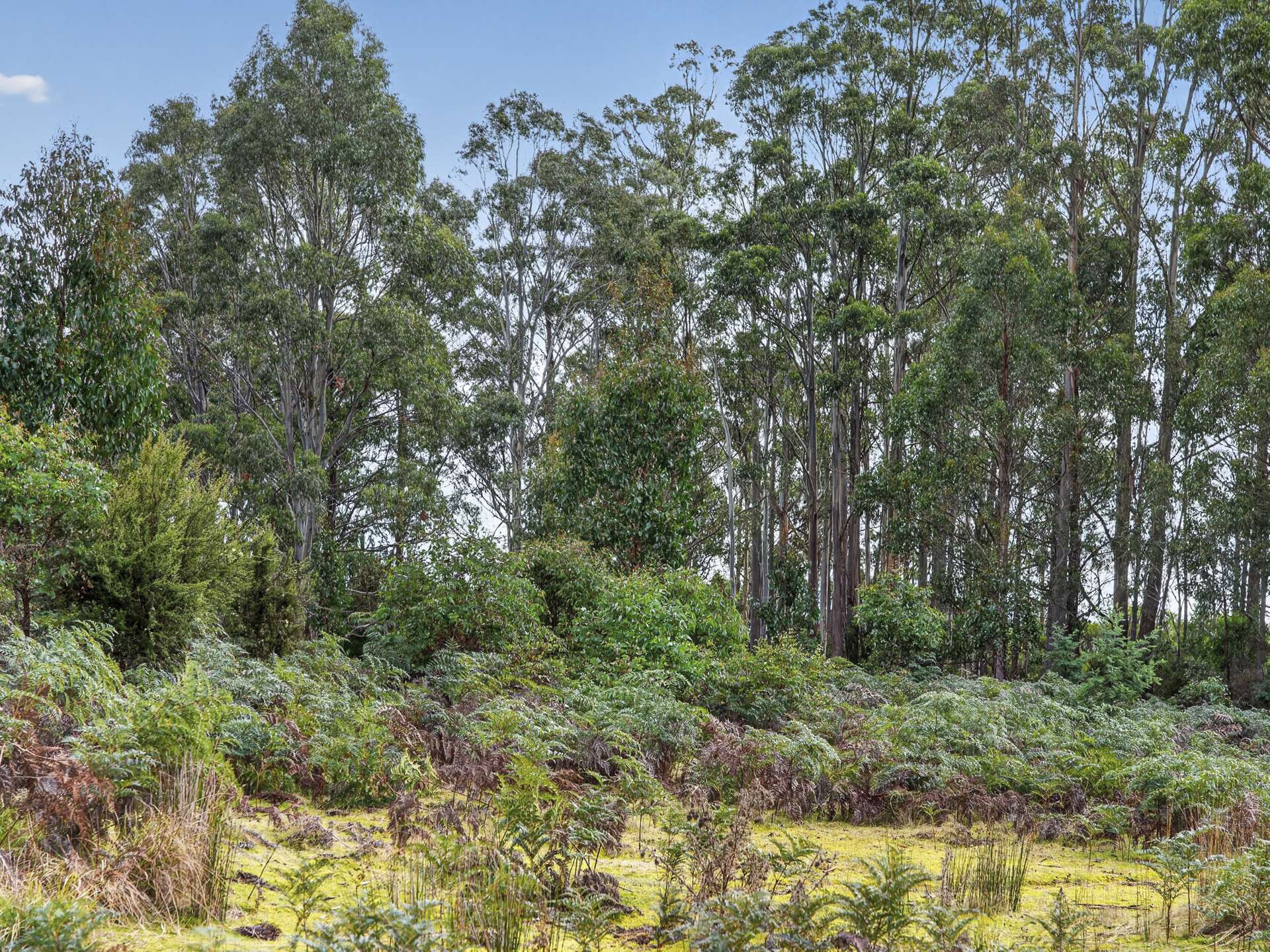 Lot 1 Pitts Road, Moogara For Sale by Farmbuy.com - image 24