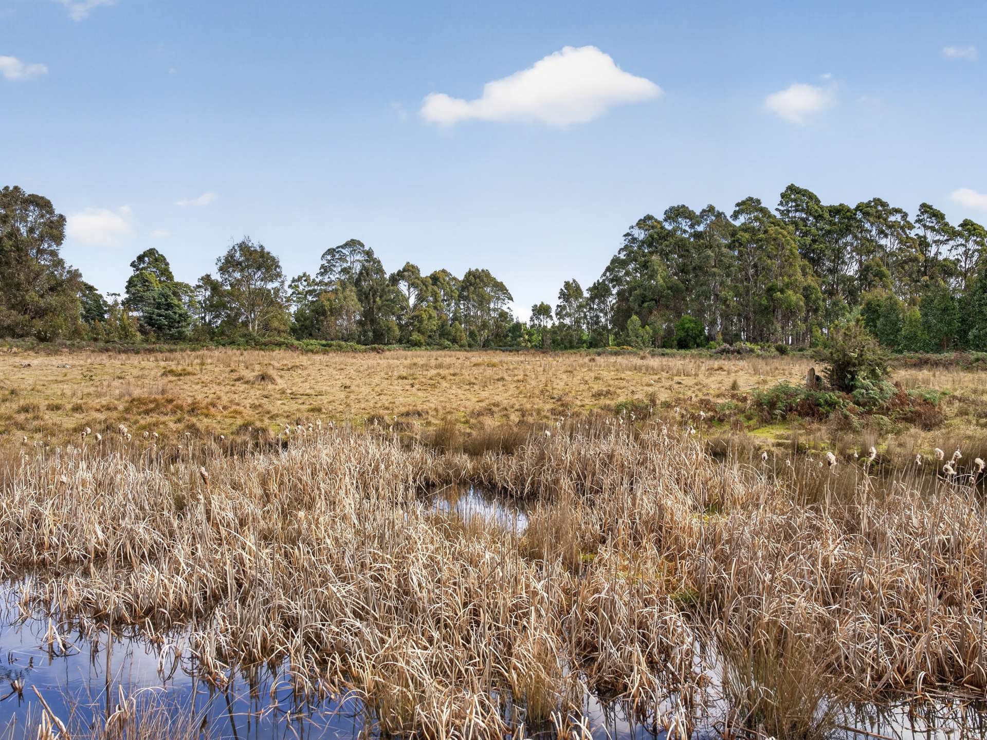 Lot 1 Pitts Road, Moogara For Sale by Farmbuy.com - image 26