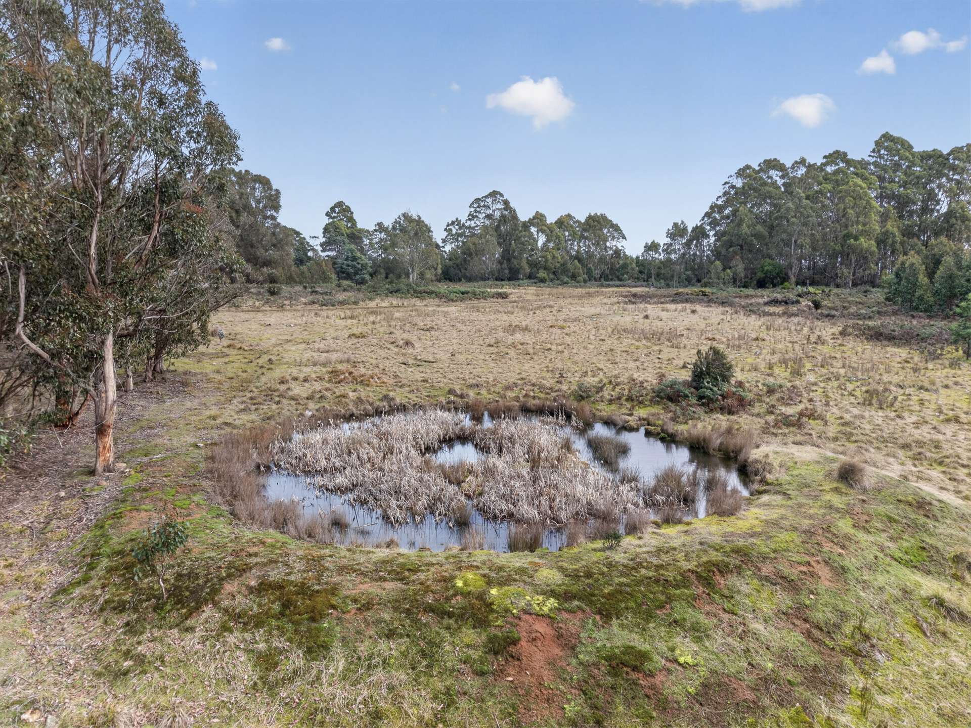 Lot 1 Pitts Road, Moogara For Sale by Farmbuy.com - image 14