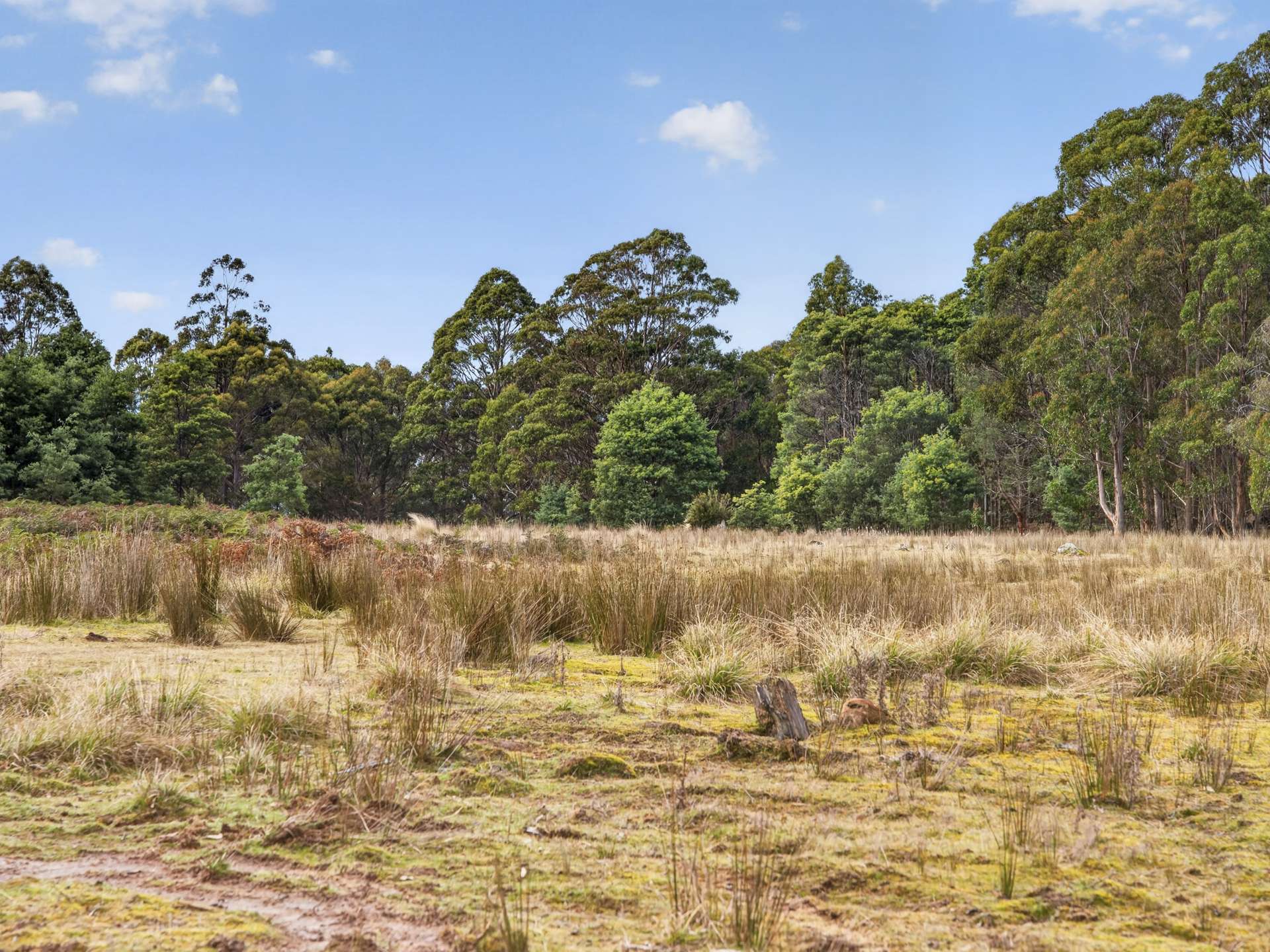 Lot 1 Pitts Road, Moogara For Sale by Farmbuy.com - image 20