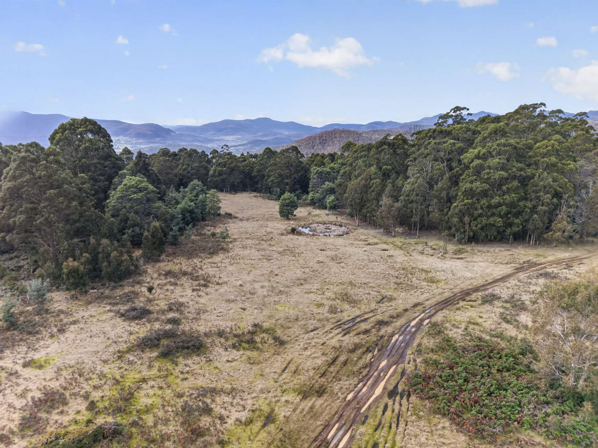 Lot 1 Pitts Road, Moogara For Sale by Farmbuy.com - image 9