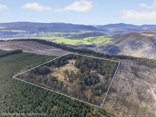 Lot 1 Pitts Road, Moogara TAS 7140