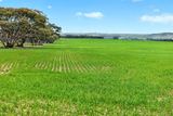 'Milde's' Keller Road, Point Pass Auction by Ray White Rural South Australia 