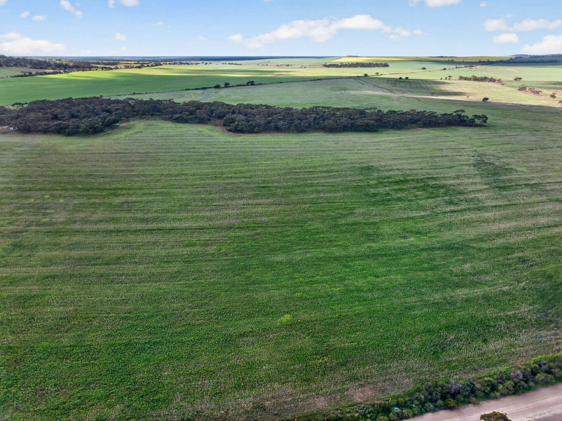 'Milde's' Keller Road, Point Pass Auction by Farmbuy.com - image 9