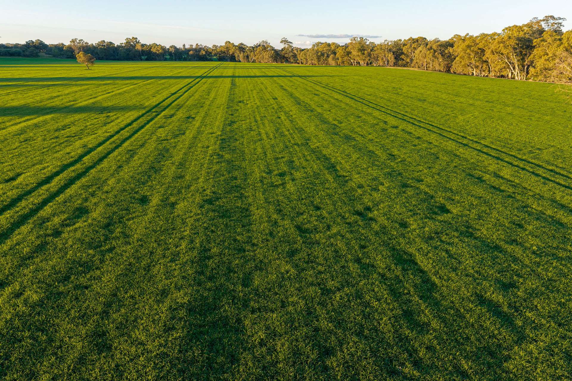 Henty-Walla Road, Culcairn Auction by Farmbuy.com - image 8