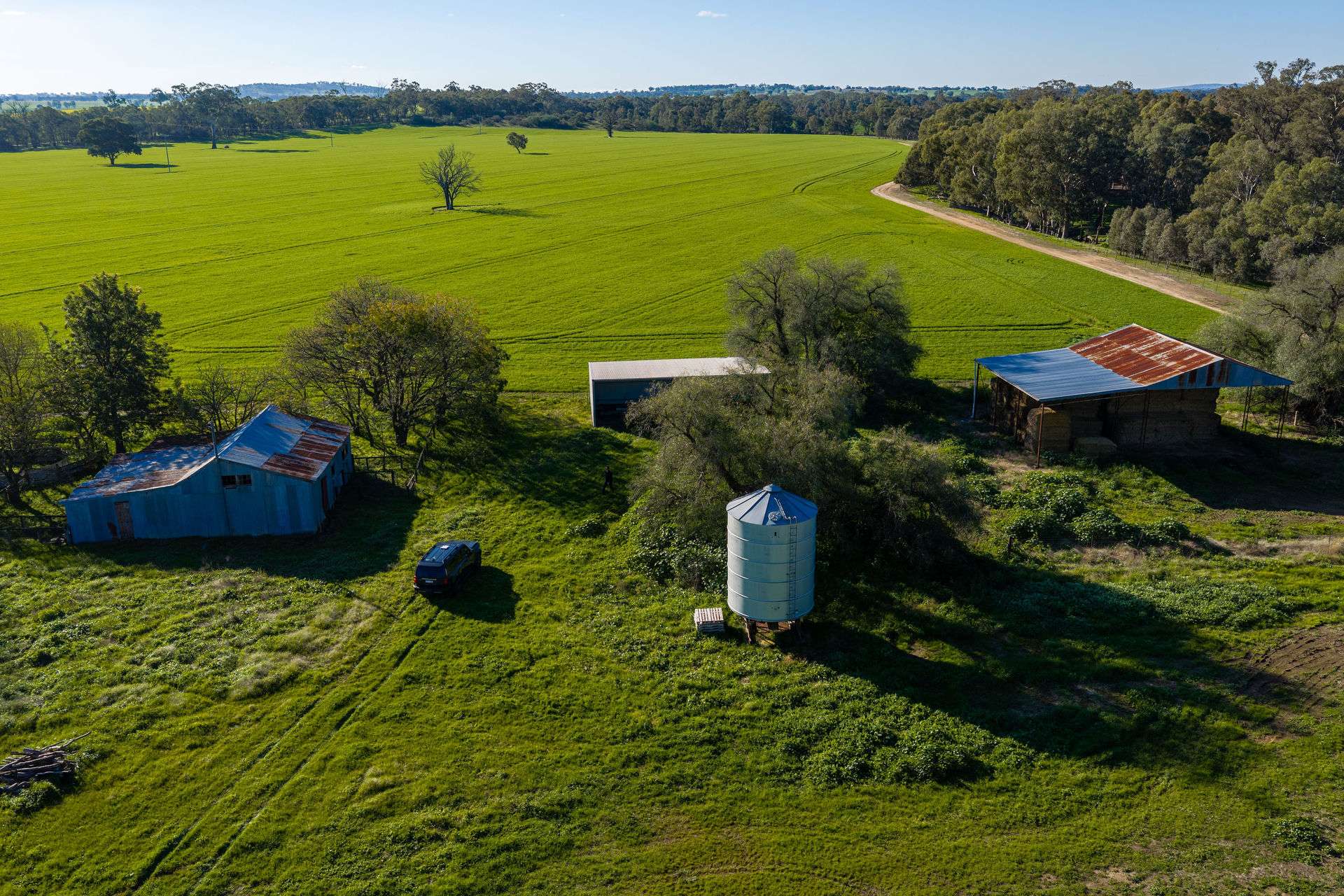 Henty-Walla Road, Culcairn Auction by Farmbuy.com - image 5