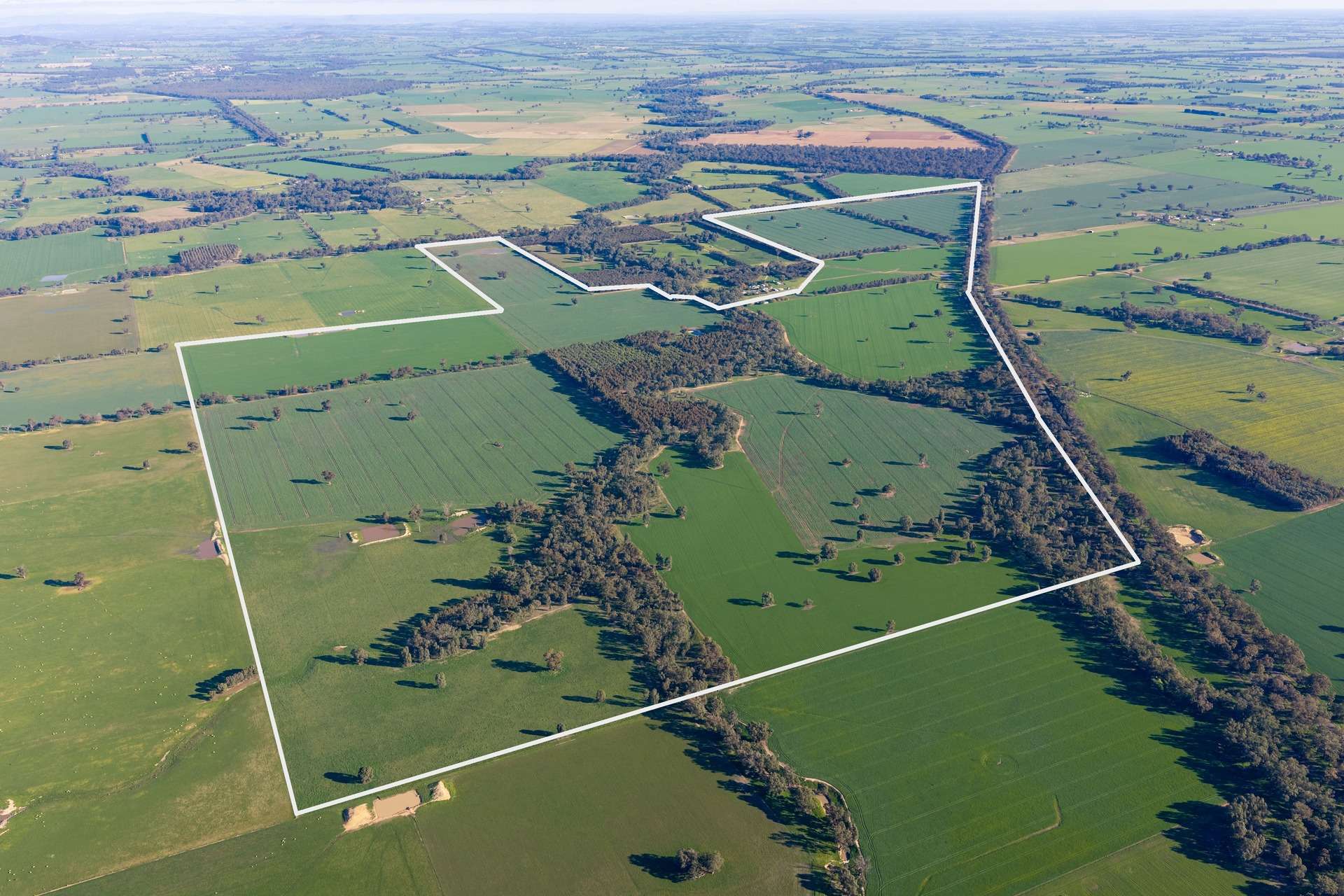 Henty-Walla Road, Culcairn Auction by Farmbuy.com - image 3