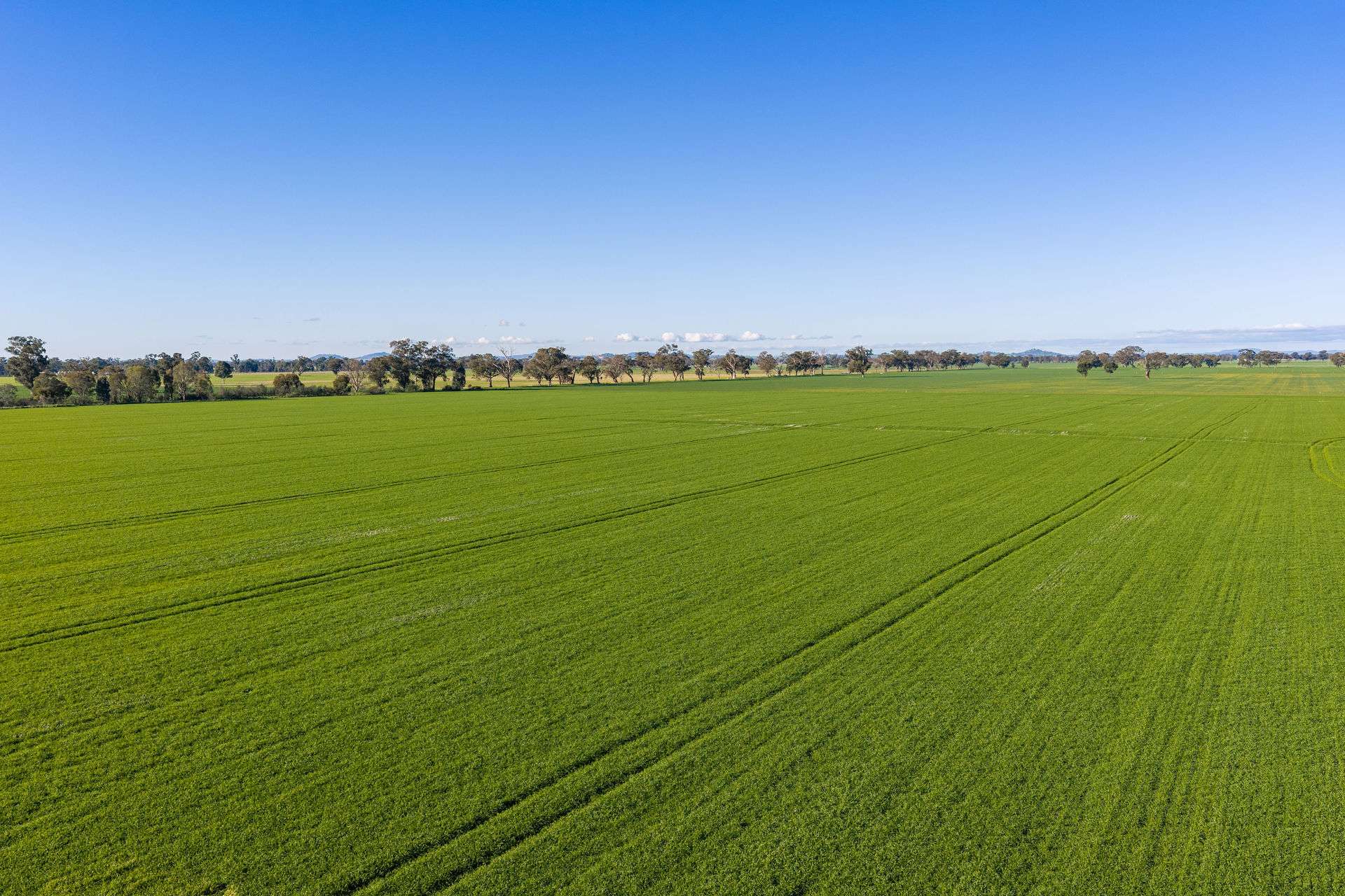 Henty-Walla Road, Culcairn Auction by Farmbuy.com - image 12
