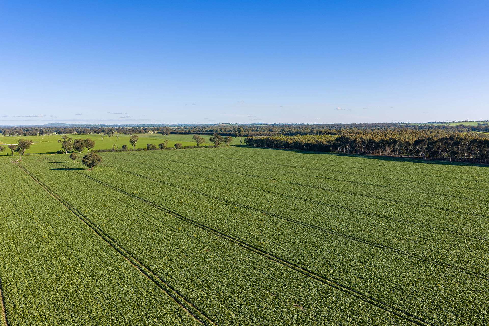Henty-Walla Road, Culcairn Auction by Farmbuy.com - image 1