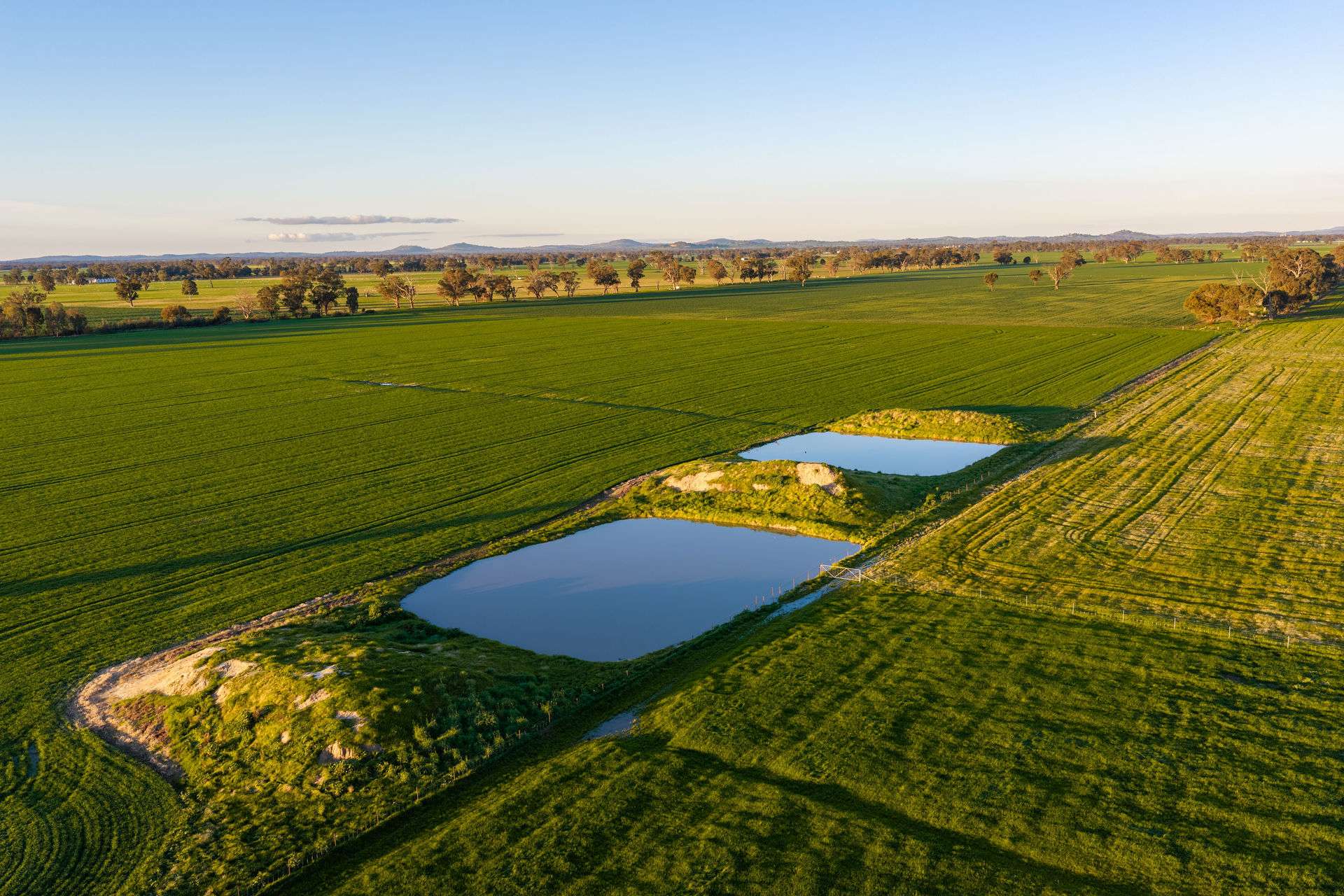 Henty-Walla Road, Culcairn Auction by Farmbuy.com - image 11