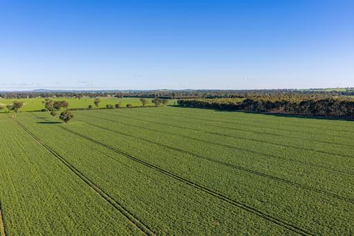 Henty-Walla Road, Culcairn NSW 2660