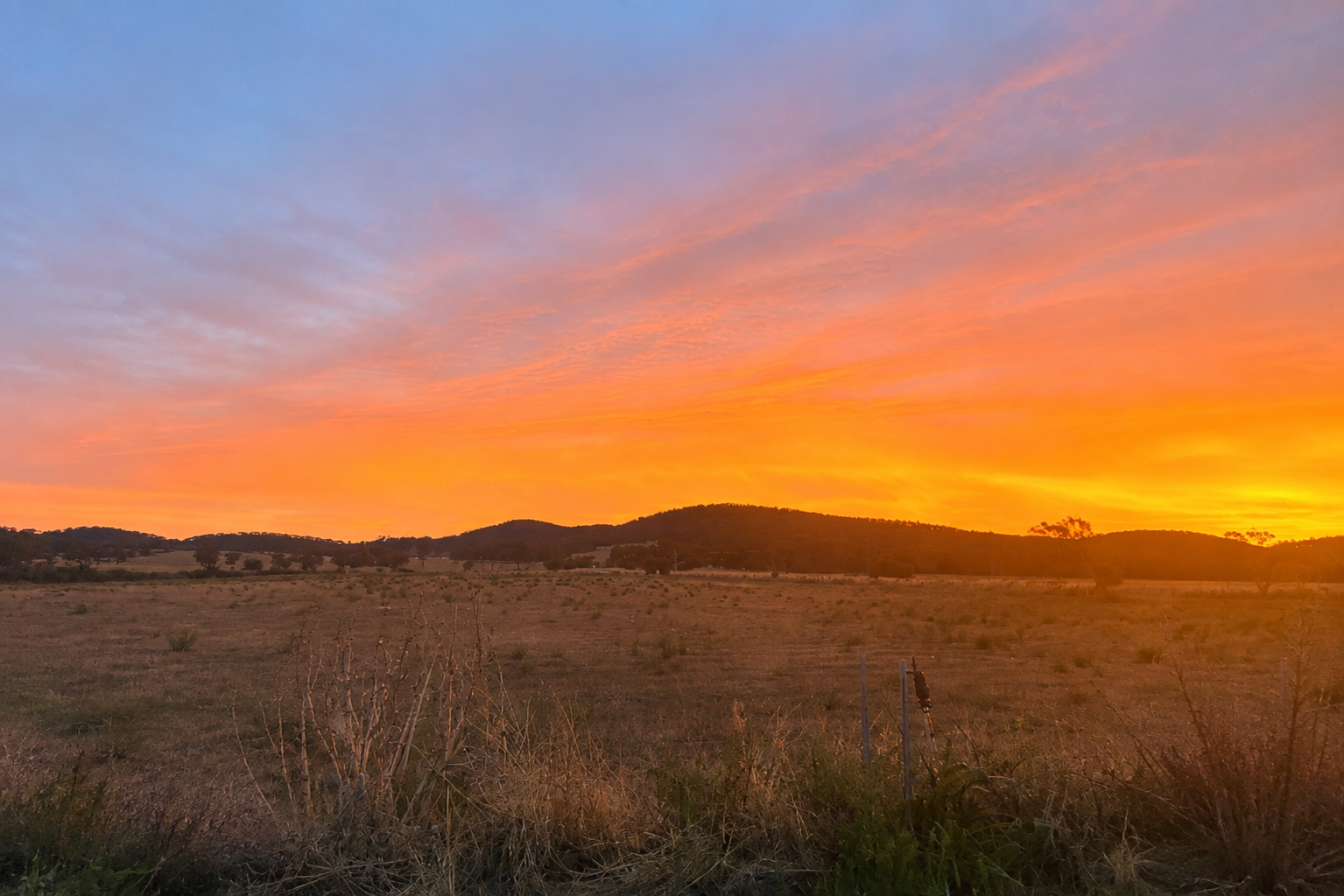 83 Renshaw Mcgirr Way, Wellington For Sale by Farmbuy.com - image 5