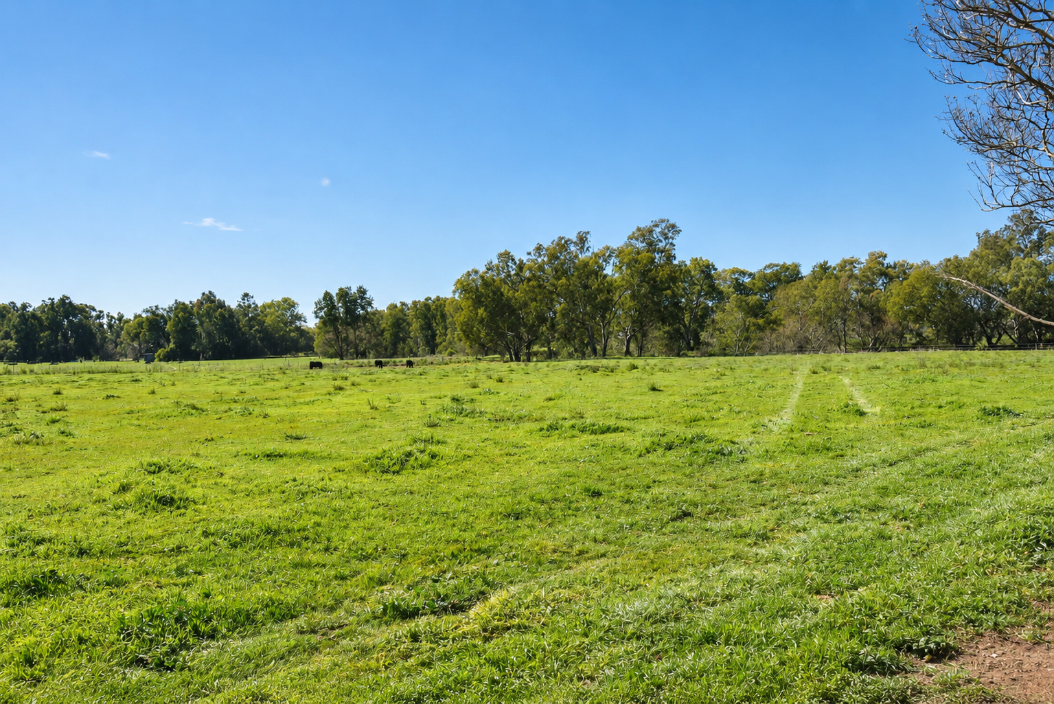 83 Renshaw Mcgirr Way, Wellington For Sale by Farmbuy.com - image 15