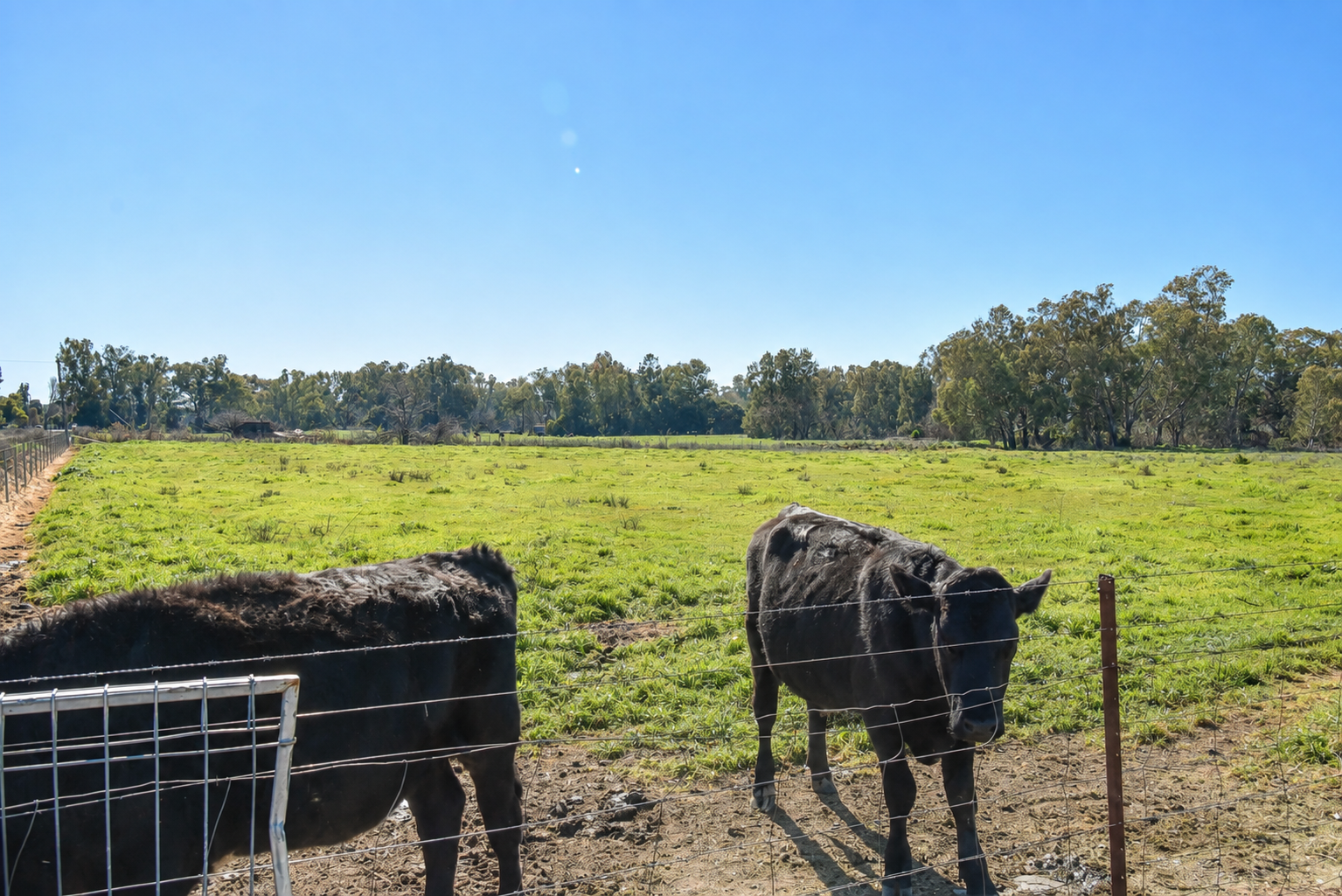 83 Renshaw Mcgirr Way, Wellington For Sale by Farmbuy.com - image 16