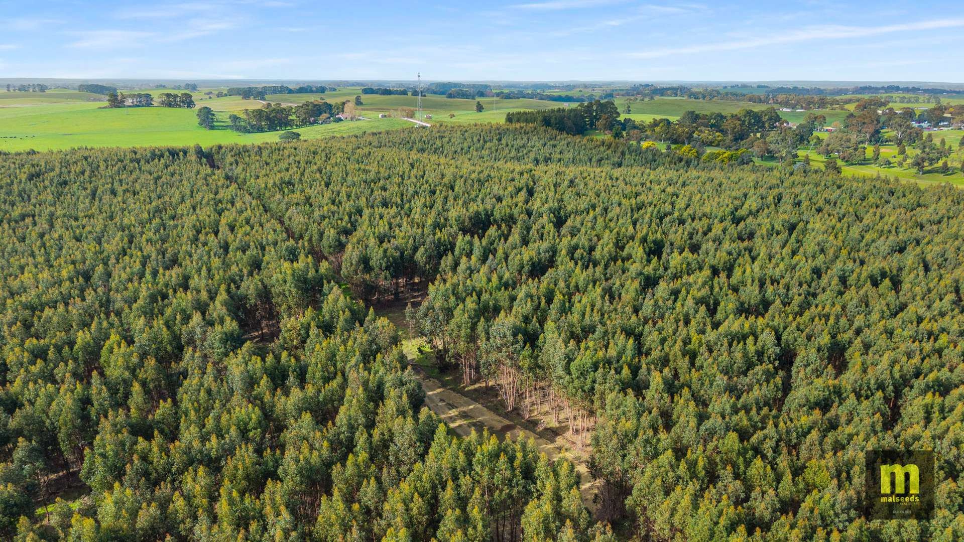 Lot 1,  Bishop Road, Worrolong For Sale by Farmbuy.com - image 10