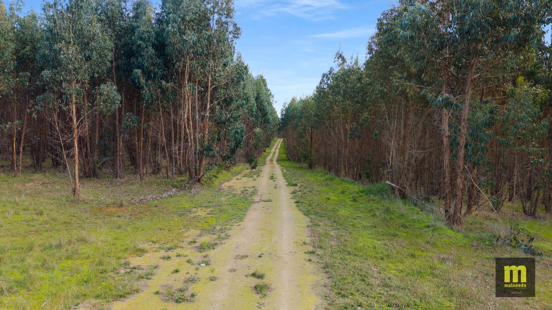 Lot 1,  Bishop Road, Worrolong For Sale by Farmbuy.com - image 8