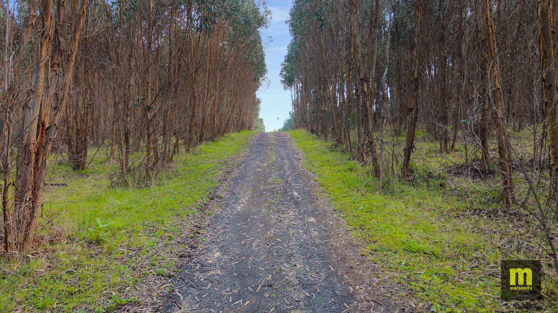 Lot 1,  Bishop Road, Worrolong For Sale by Farmbuy.com - image 7