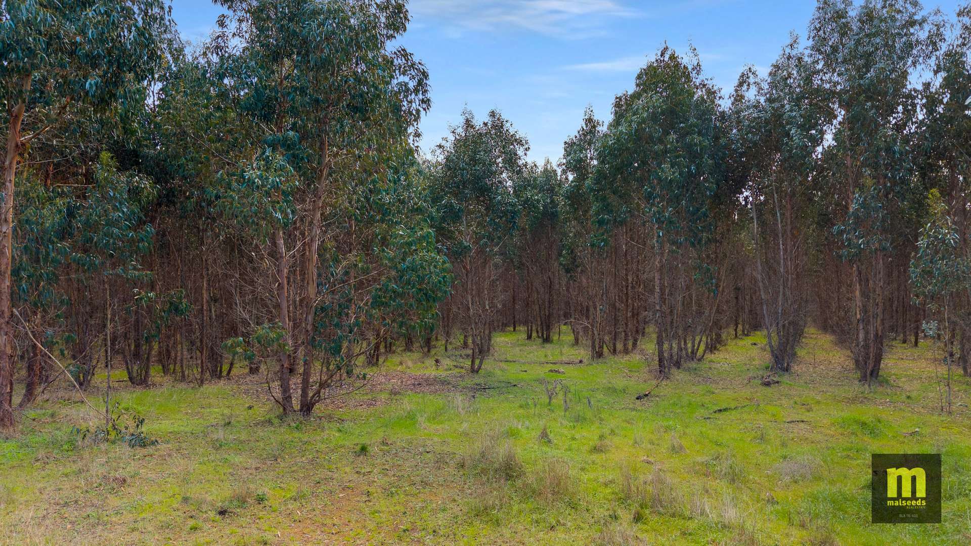Lot 1,  Bishop Road, Worrolong For Sale by Farmbuy.com - image 14