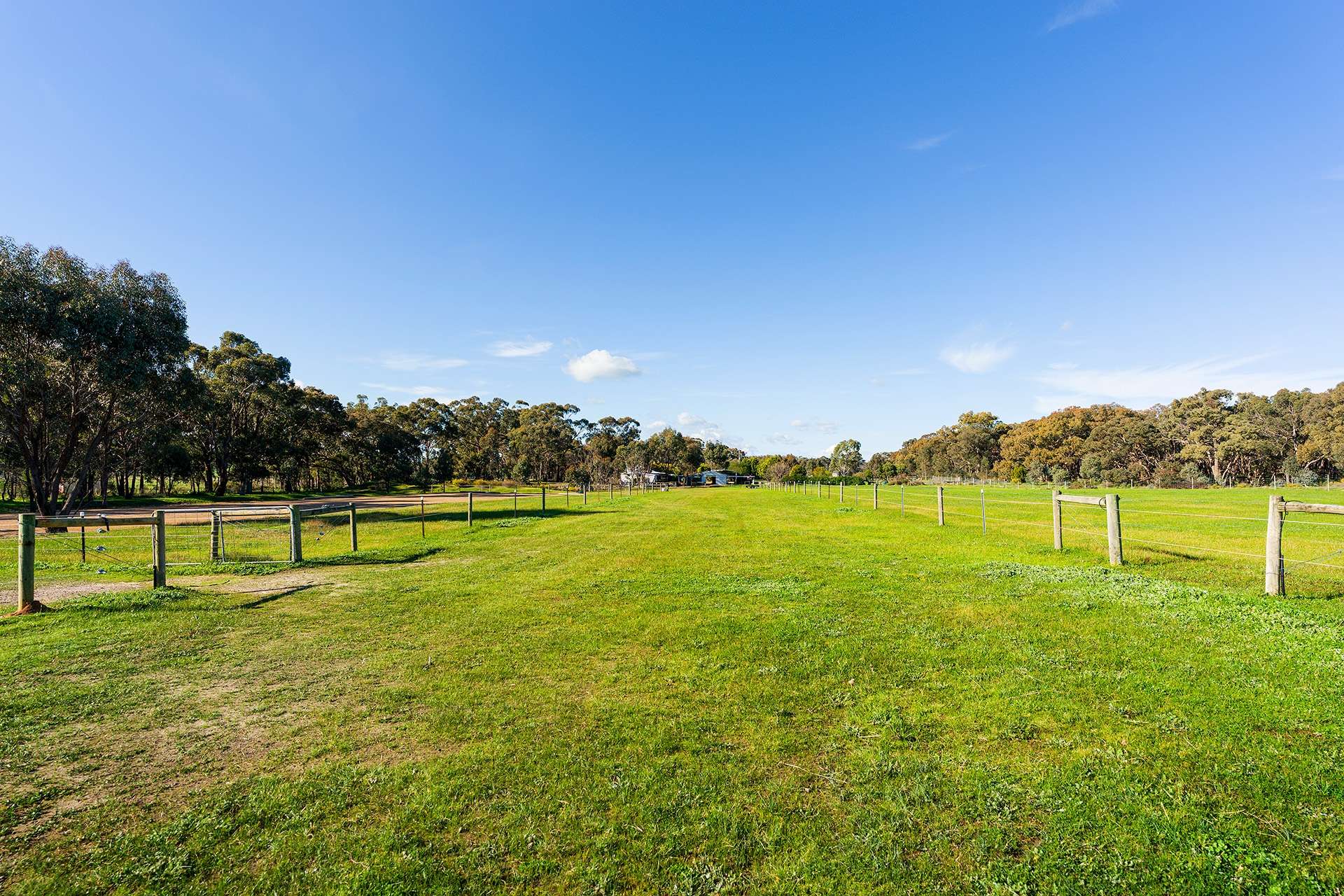 973 Fogartys Gap Road, Walmer For Sale by Farmbuy.com - image 23
