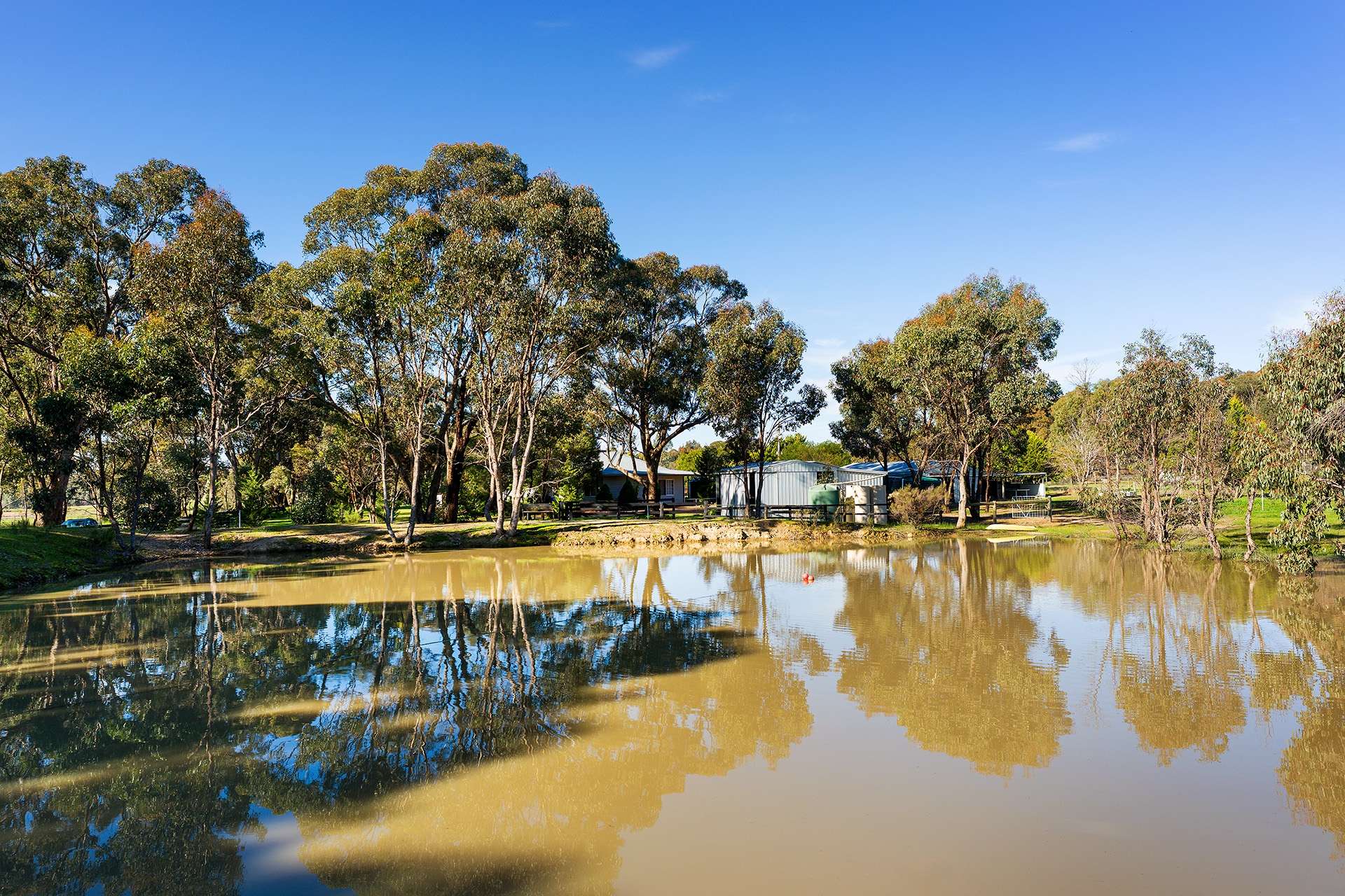 973 Fogartys Gap Road, Walmer For Sale by Farmbuy.com - image 21