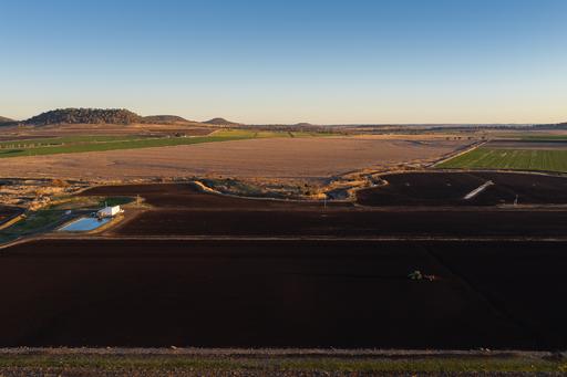 Farm For Sale - QLD - Ascot - 4359 - High-Yield 540 Acres, 215 ML Water & Rich Fertile Soils 