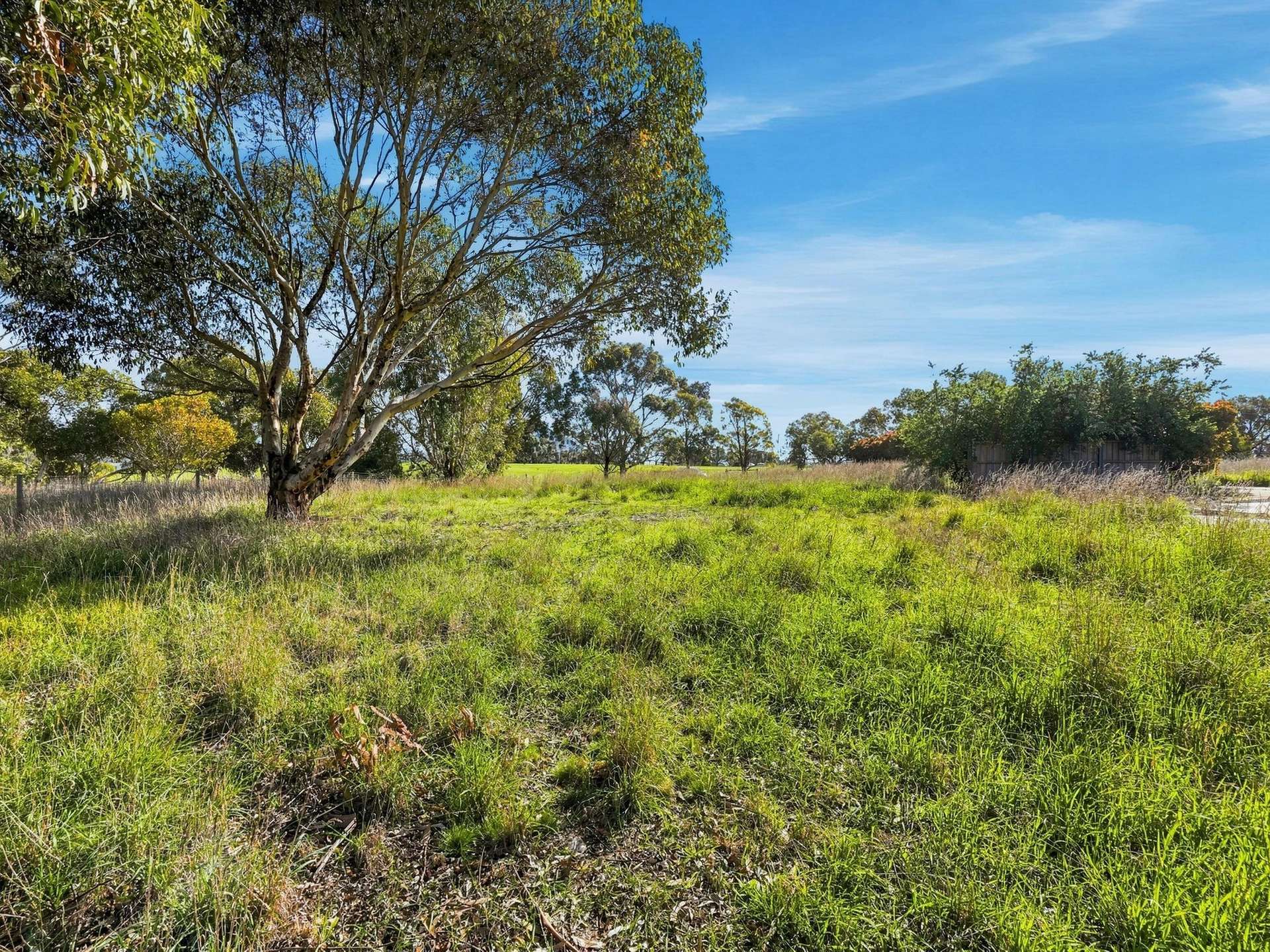 90 White Kangaroo Road, Campania Auction by Farmbuy.com - image 6