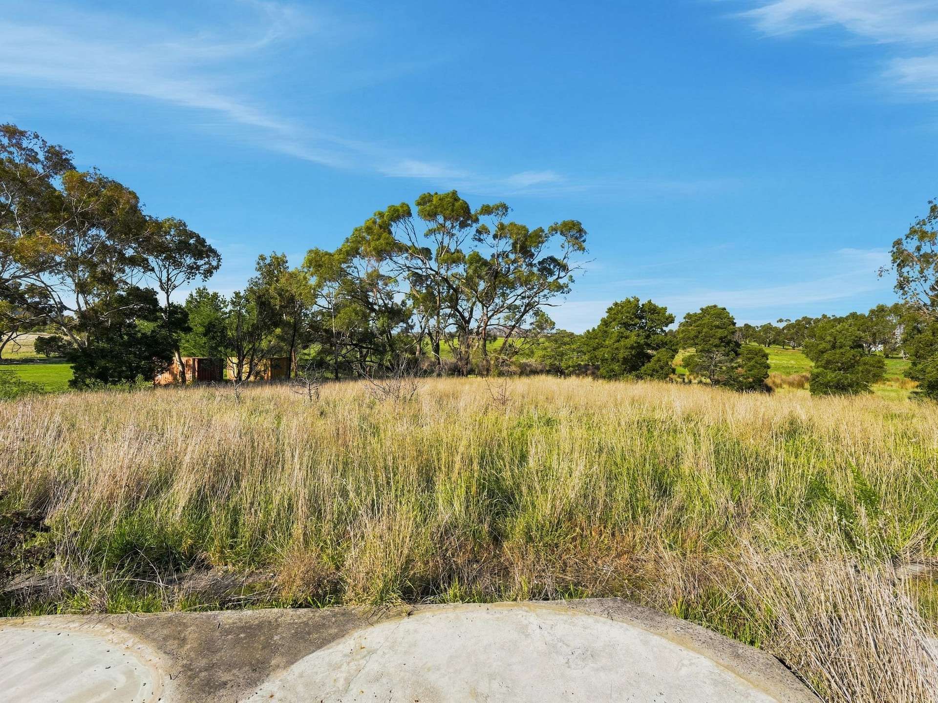 90 White Kangaroo Road, Campania Auction by Farmbuy.com - image 5