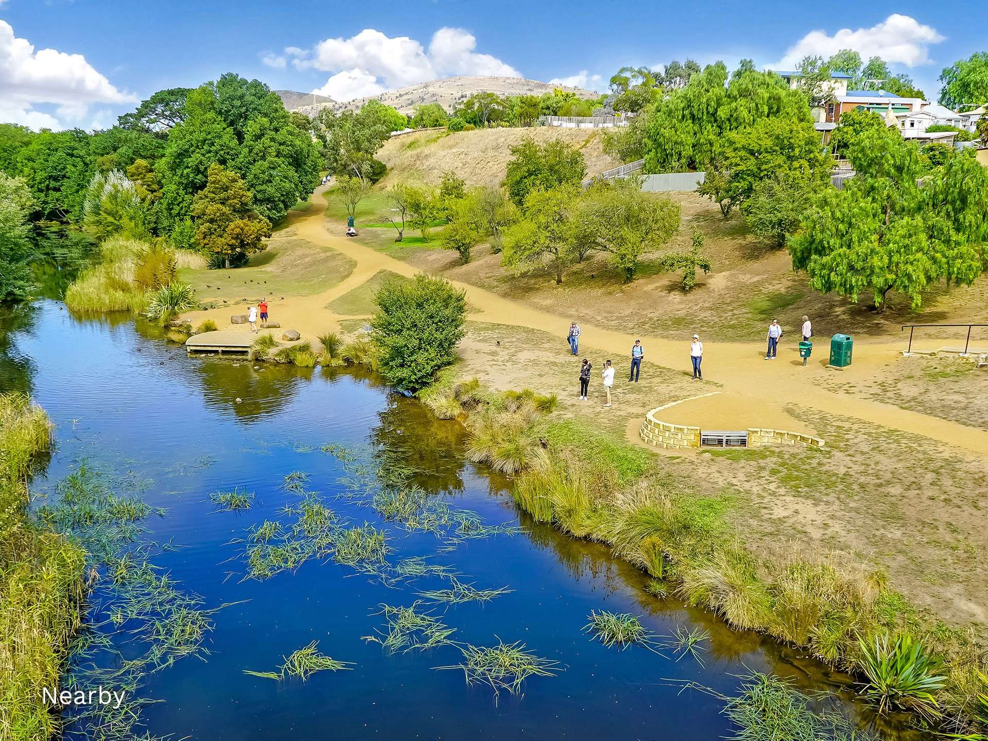 90 White Kangaroo Road, Campania Auction by Farmbuy.com - image 15
