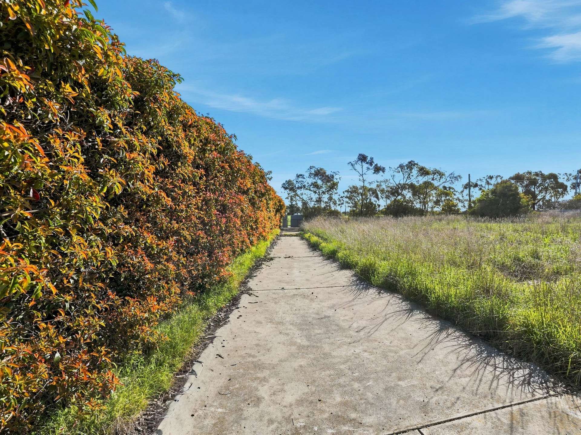 90 White Kangaroo Road, Campania Auction by Farmbuy.com - image 4
