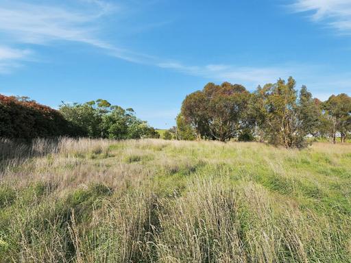 Farm Auction - TAS - Campania - 7026 - One Hectare of Beautiful Country Living 