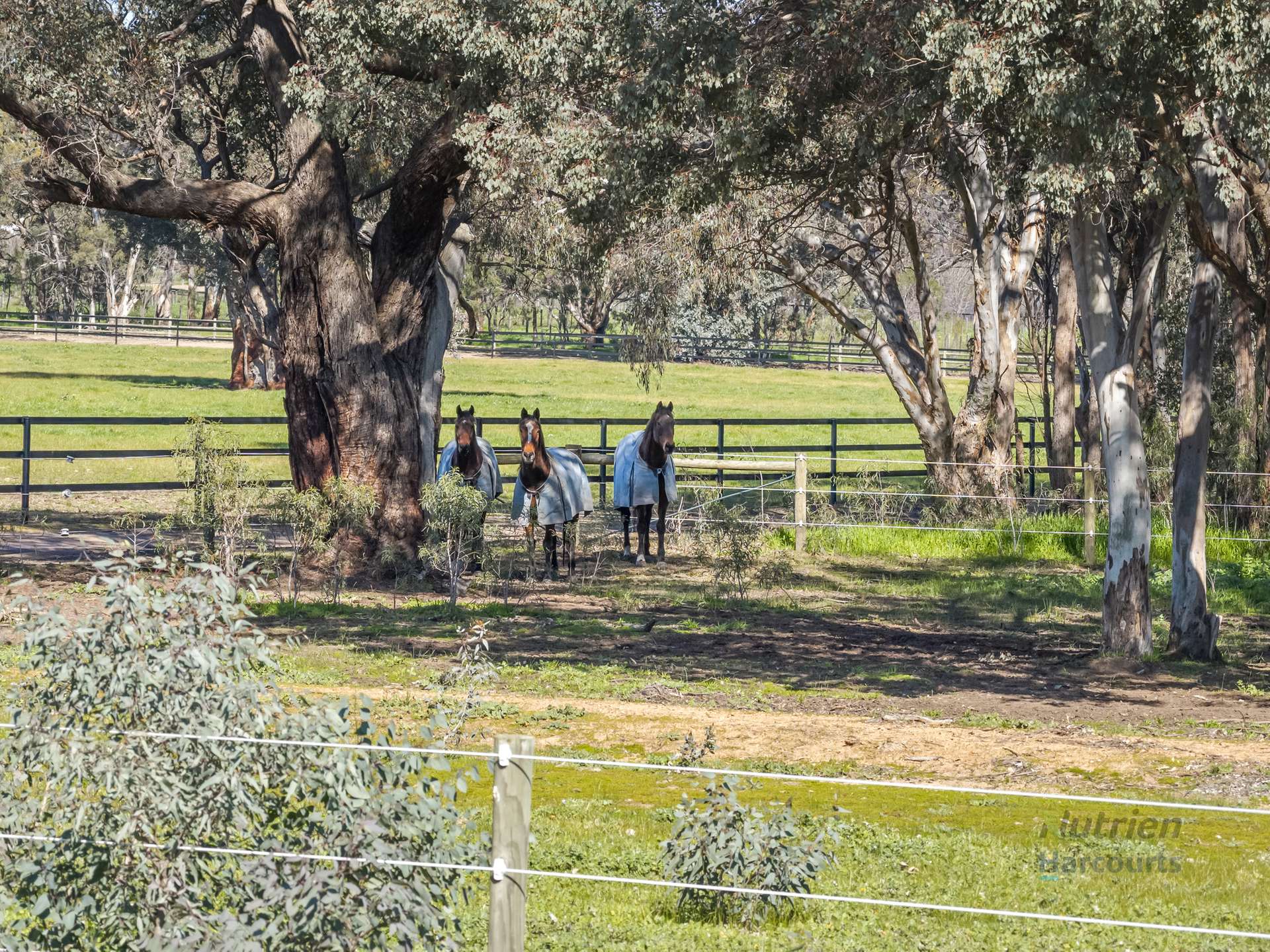 35 Scobie Road, Longwood East For Sale by Farmbuy.com - image 20