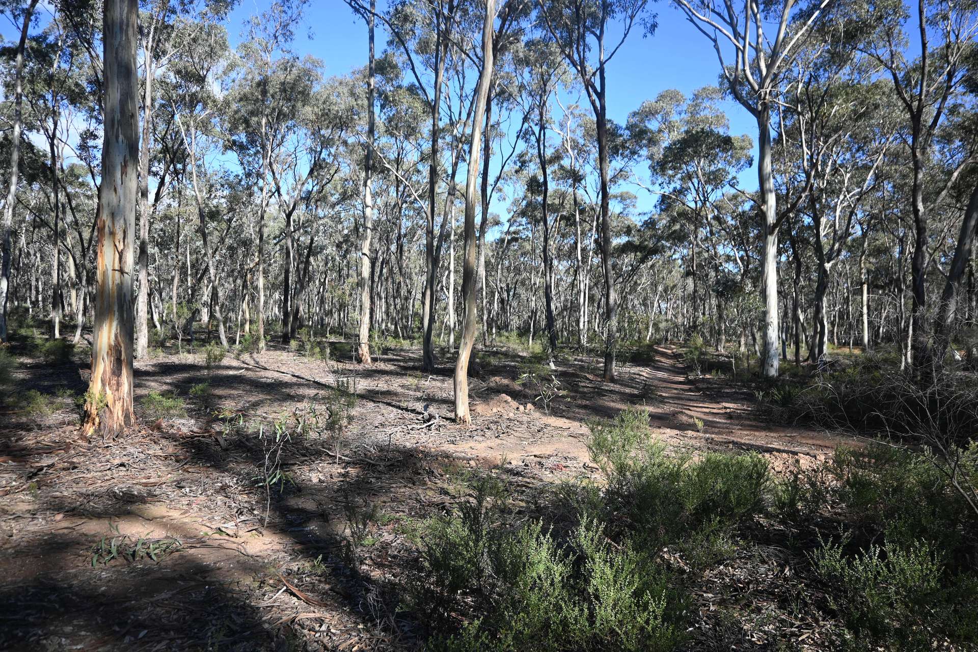 C/A 2 Wattlegum Road, Woodvale For Sale by Farmbuy.com - image 7