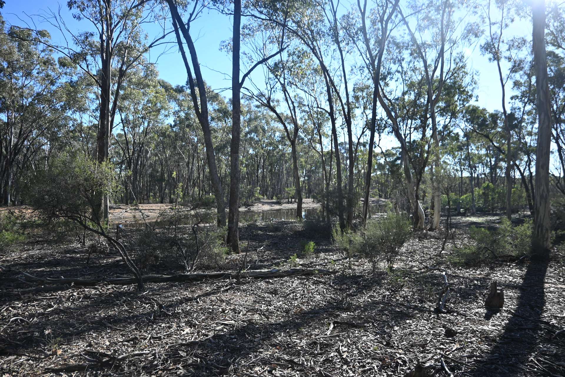 C/A 2 Wattlegum Road, Woodvale For Sale by Farmbuy.com - image 9
