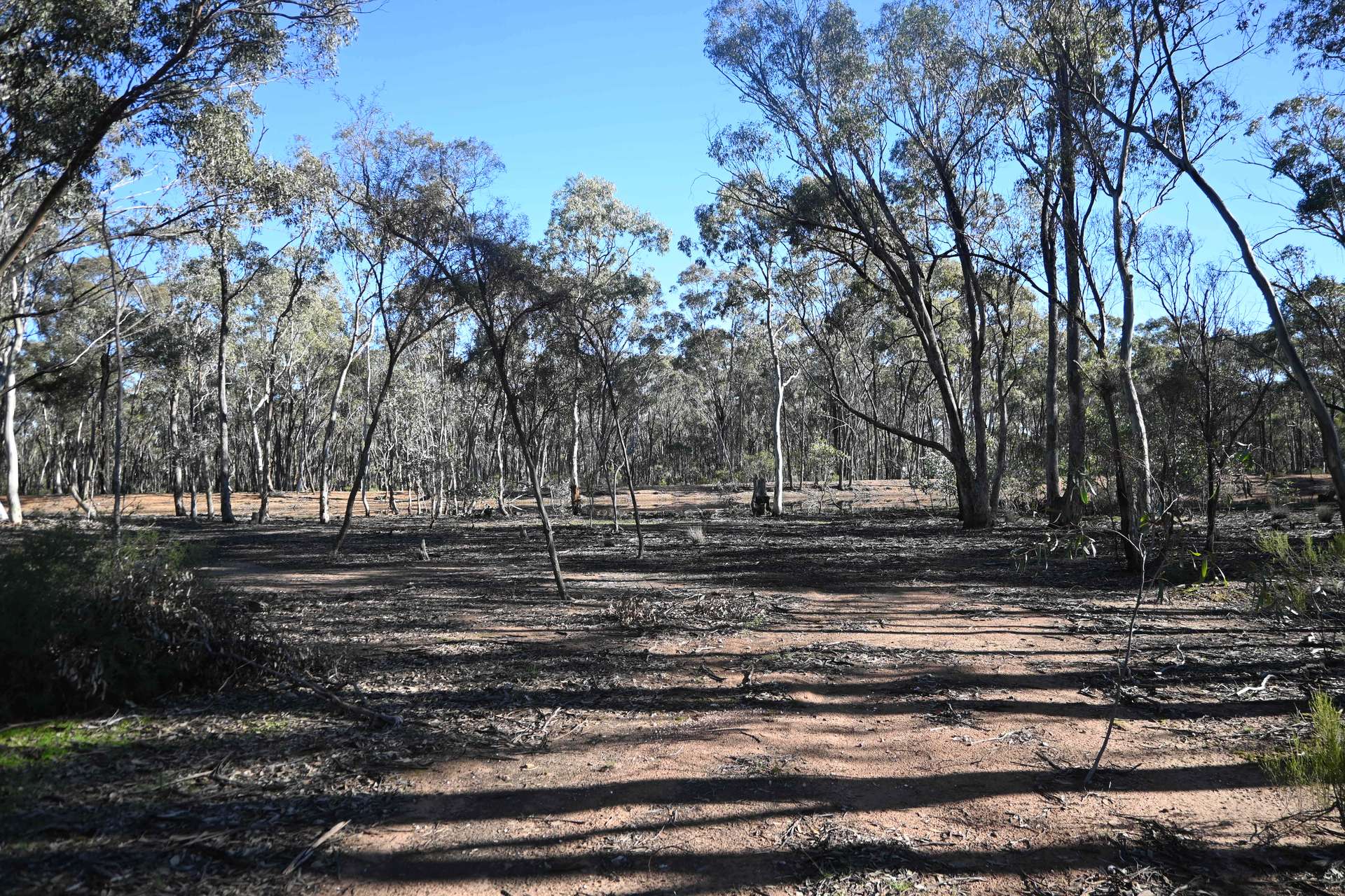 C/A 2 Wattlegum Road, Woodvale For Sale by Farmbuy.com - image 3