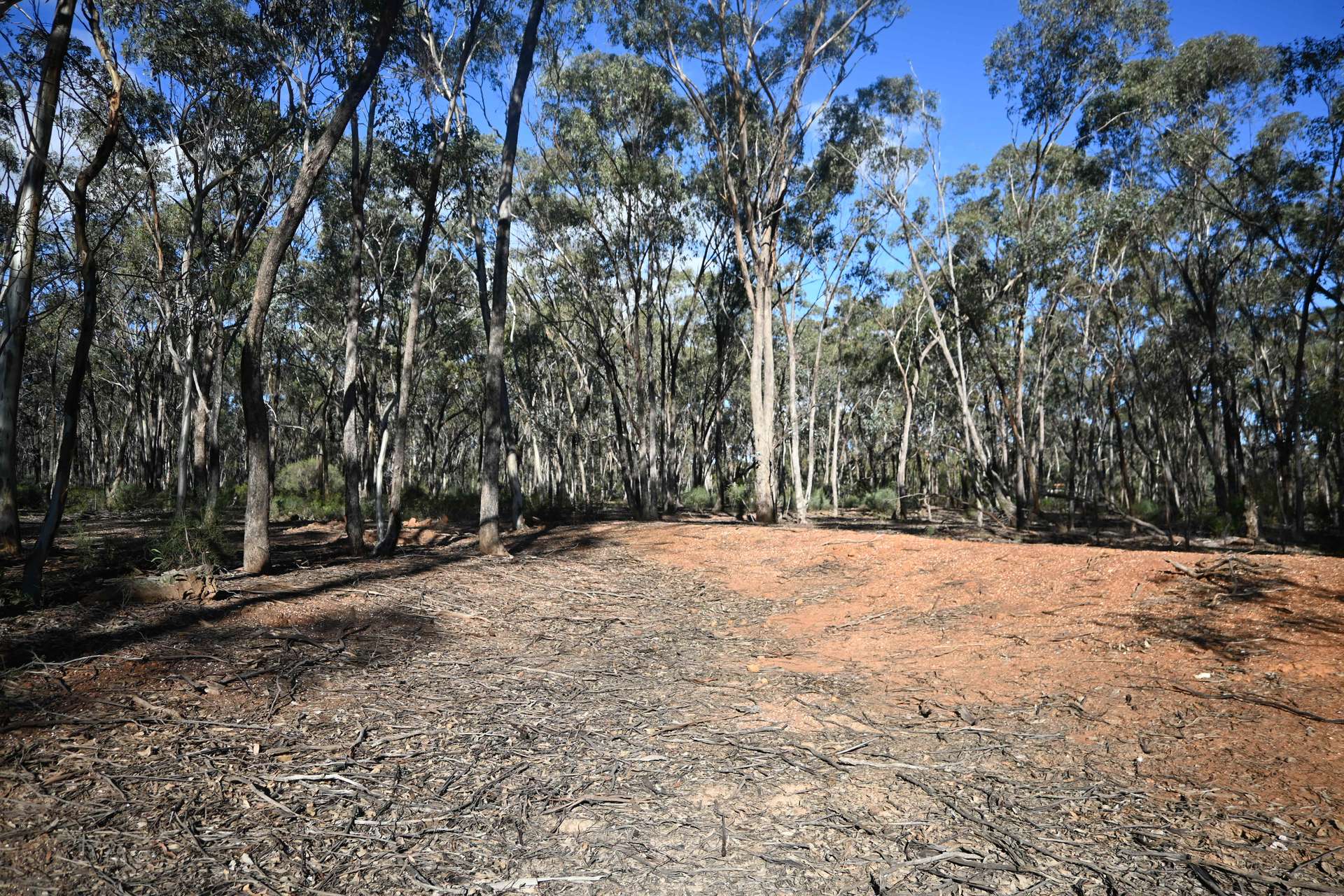 C/A 2 Wattlegum Road, Woodvale For Sale by Farmbuy.com - image 4