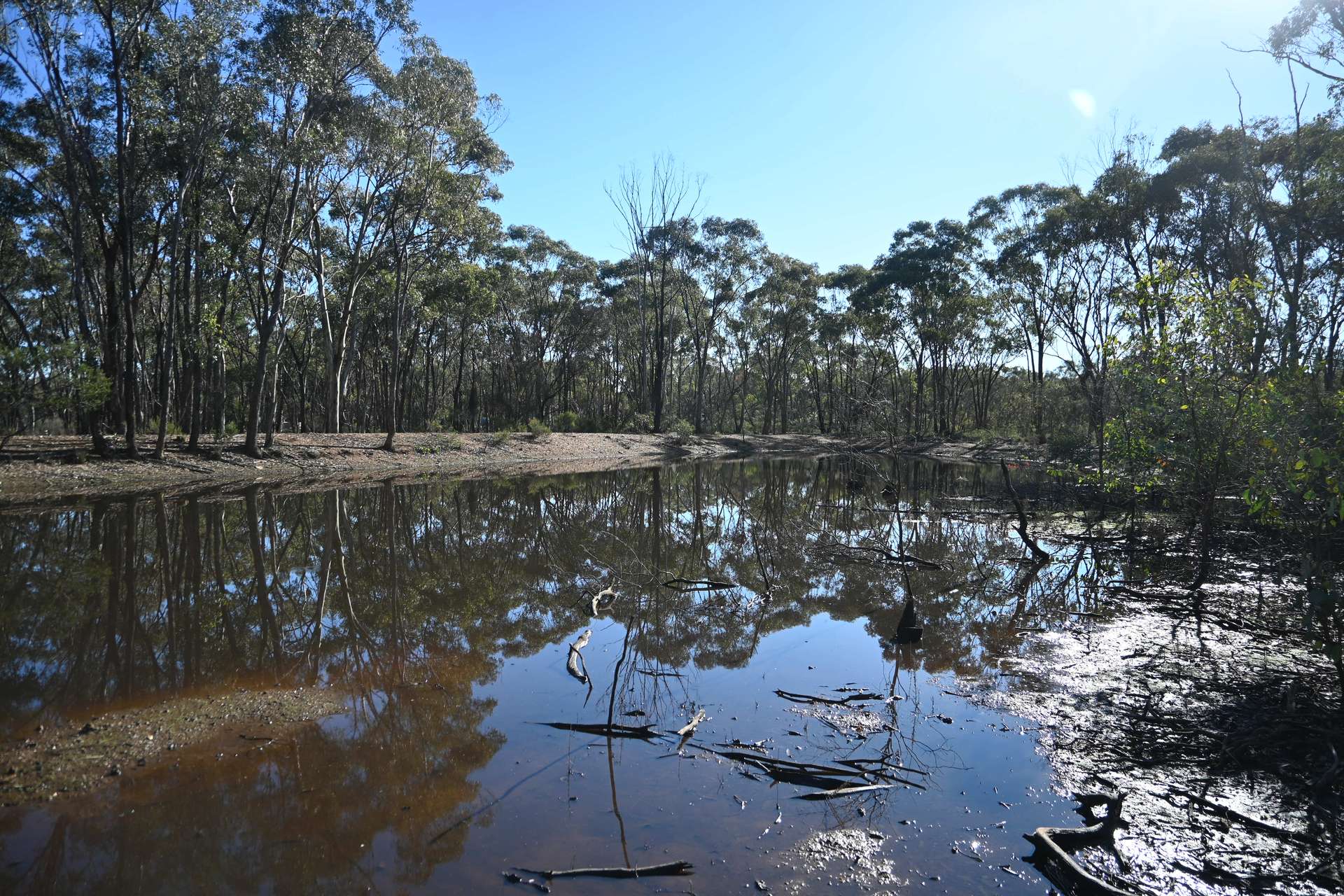 C/A 2 Wattlegum Road, Woodvale For Sale by Farmbuy.com - image 2